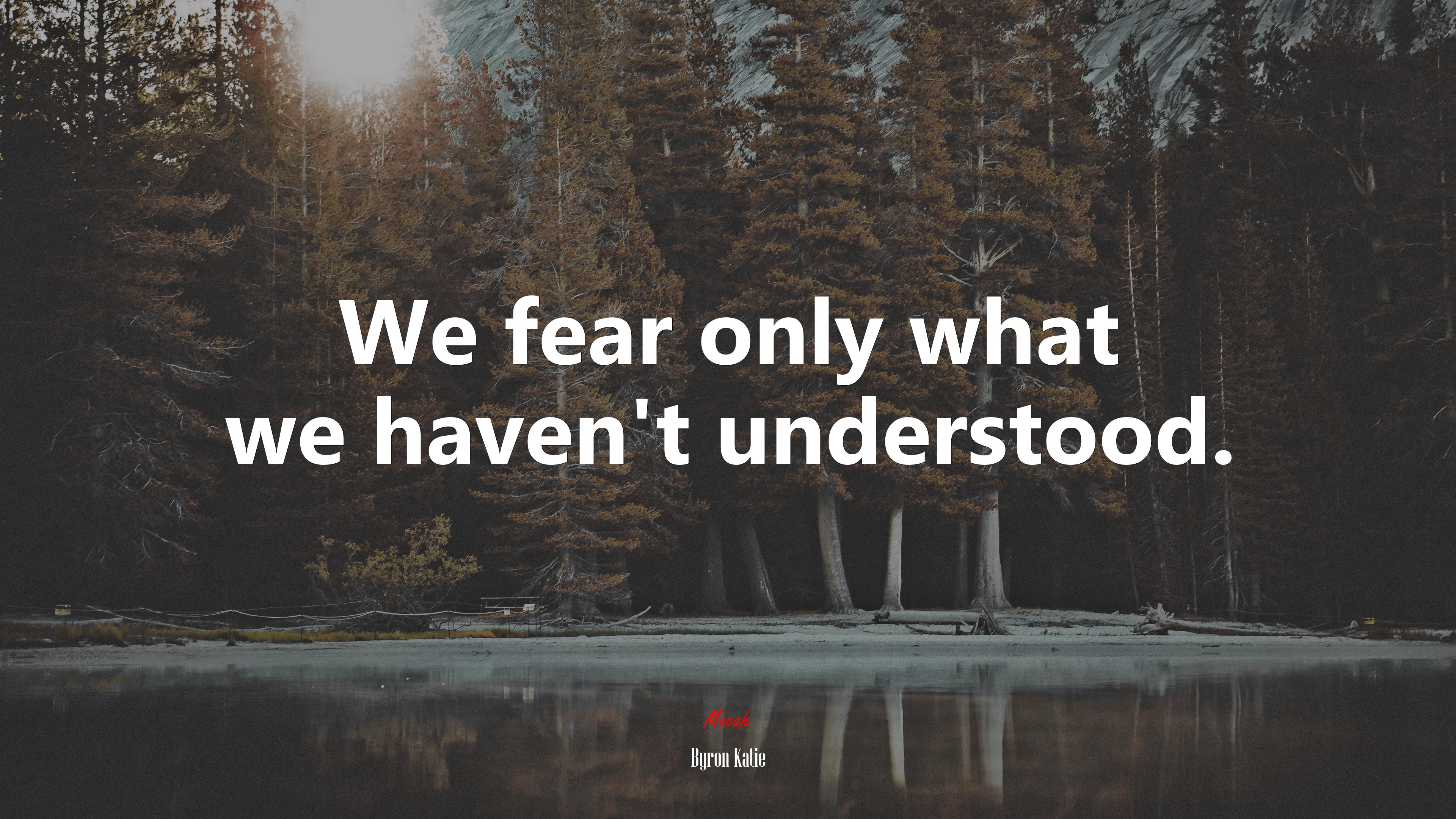 We fear only what we haven’t understood. | Byron Katie quote HD Wallpaper