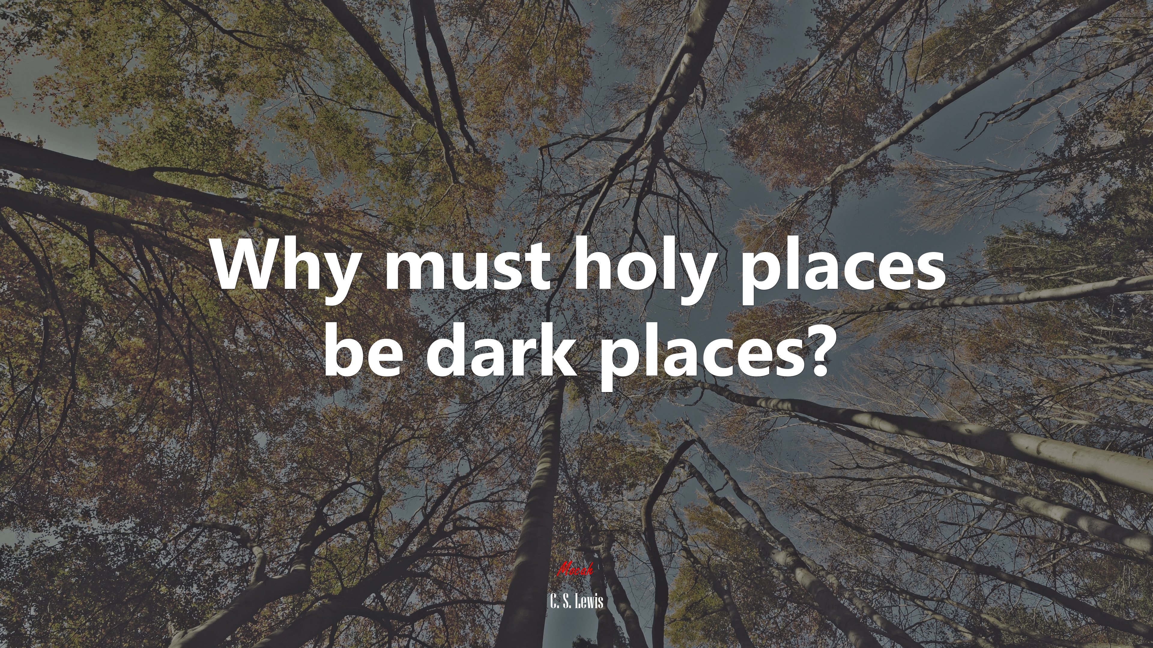 Why must holy places be dark places? | C. S. Lewis quote HD Wallpaper