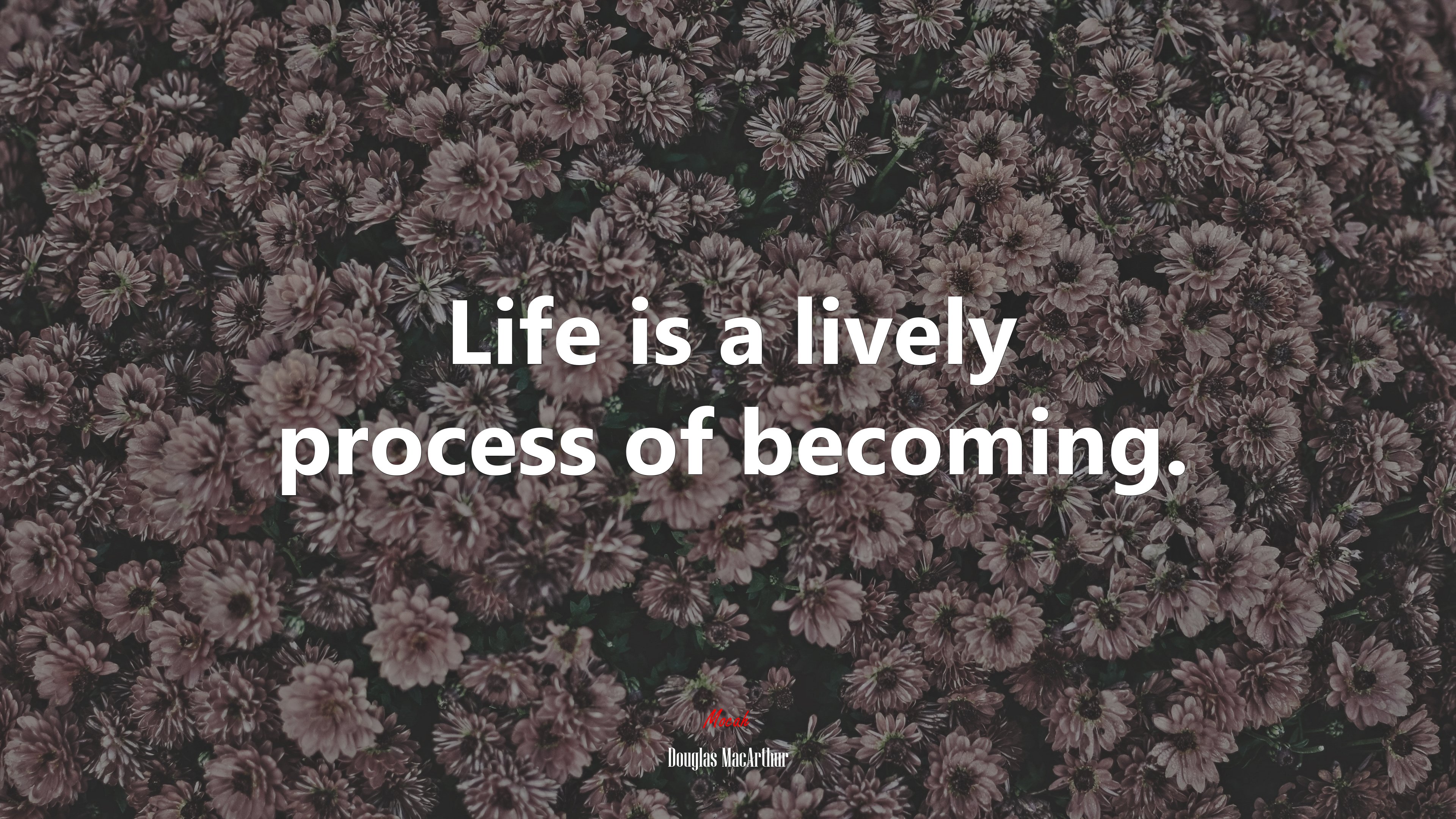 Life is a lively process of becoming. | Douglas MacArthur quote HD Wallpaper