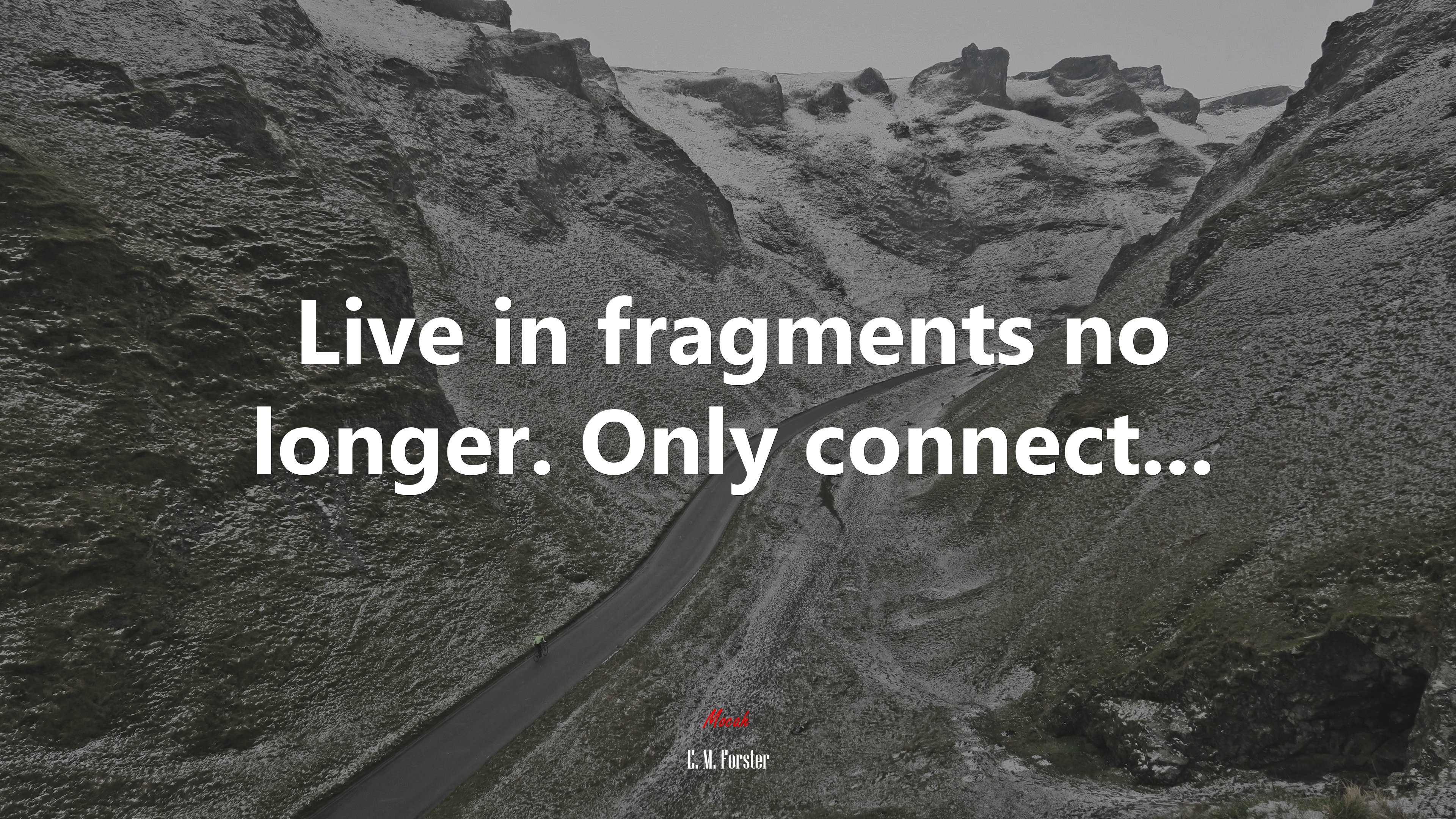 Live in fragments no longer. Only connect... | E. M. Forster quote HD Wallpaper