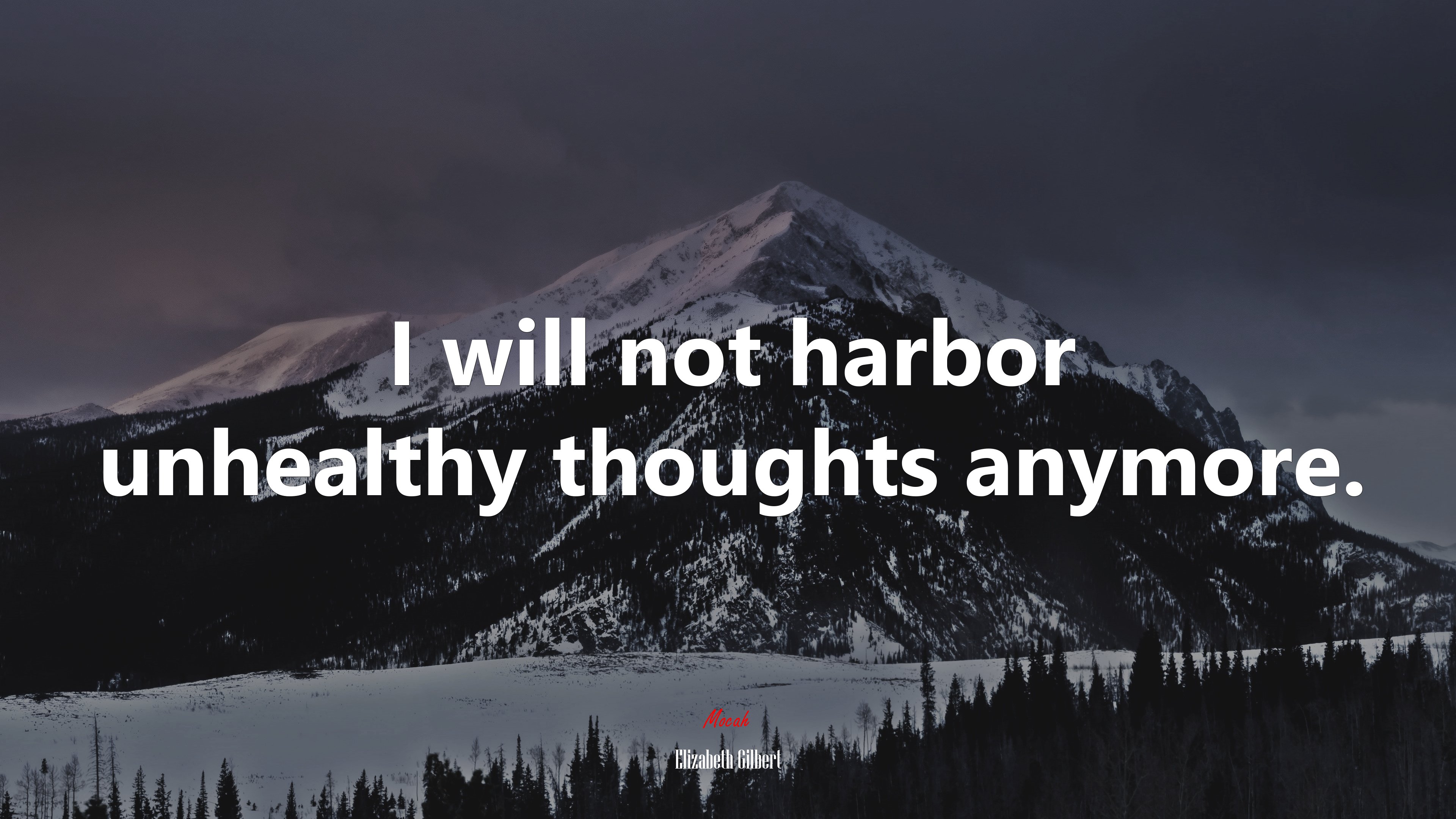 I will not harbor unhealthy thoughts anymore. | Elizabeth Gilbert quote HD Wallpaper