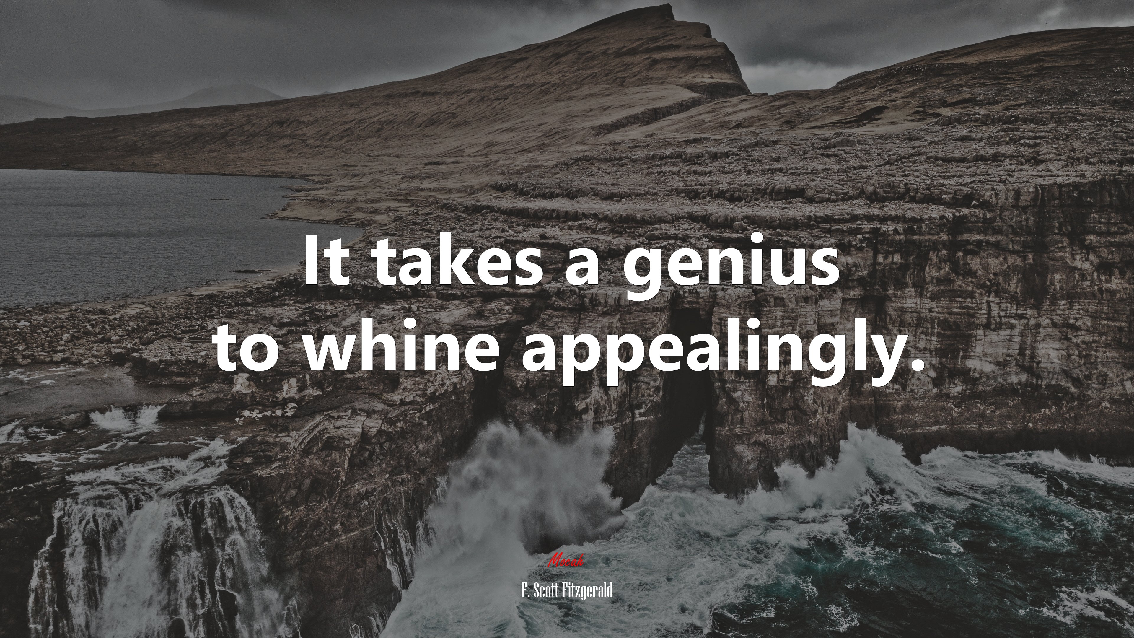It takes a genius to whine appealingly. | F. Scott Fitzgerald quote HD Wallpaper