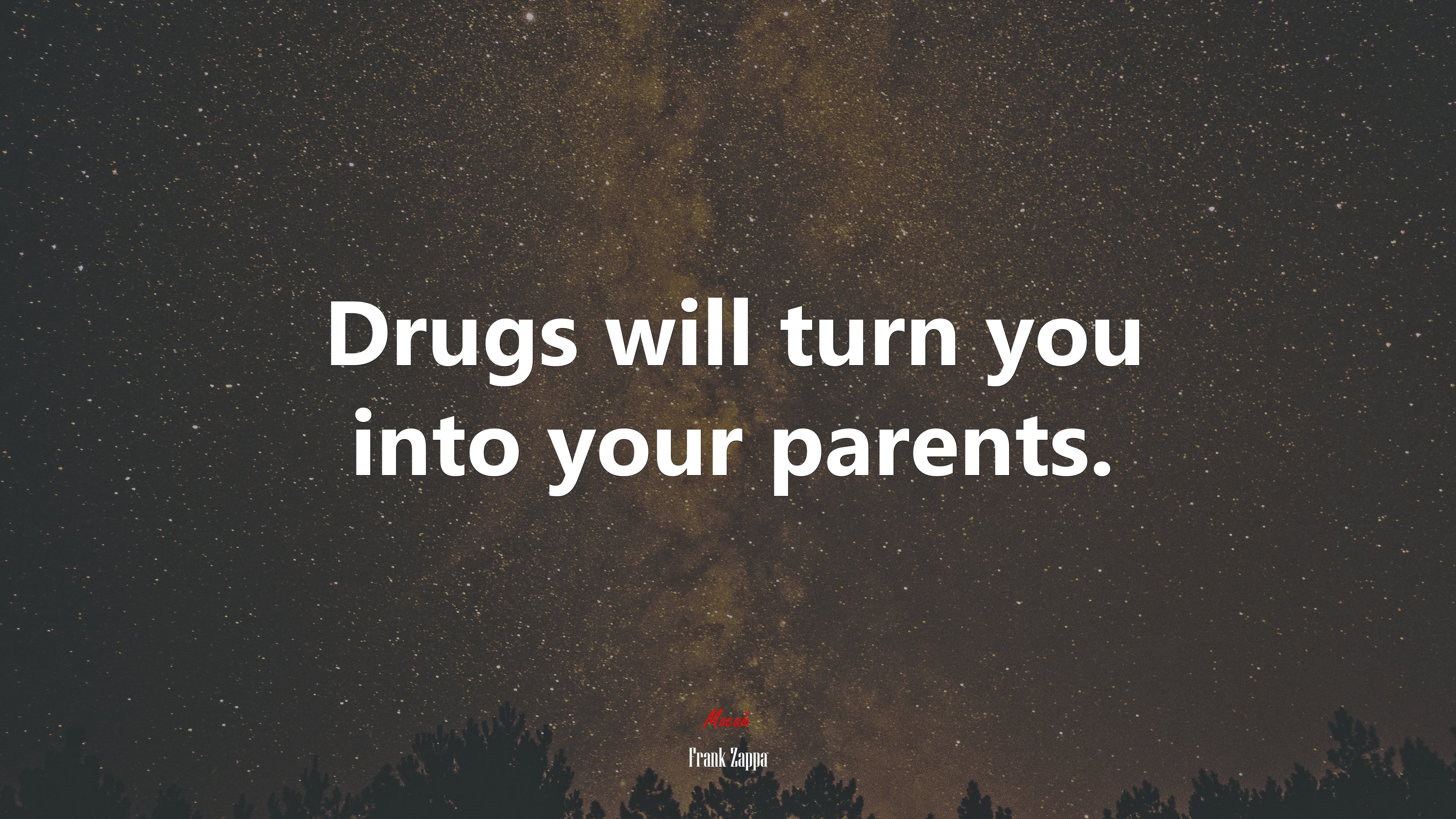 Drugs will turn you into your parents. | Frank Zappa quote HD Wallpaper