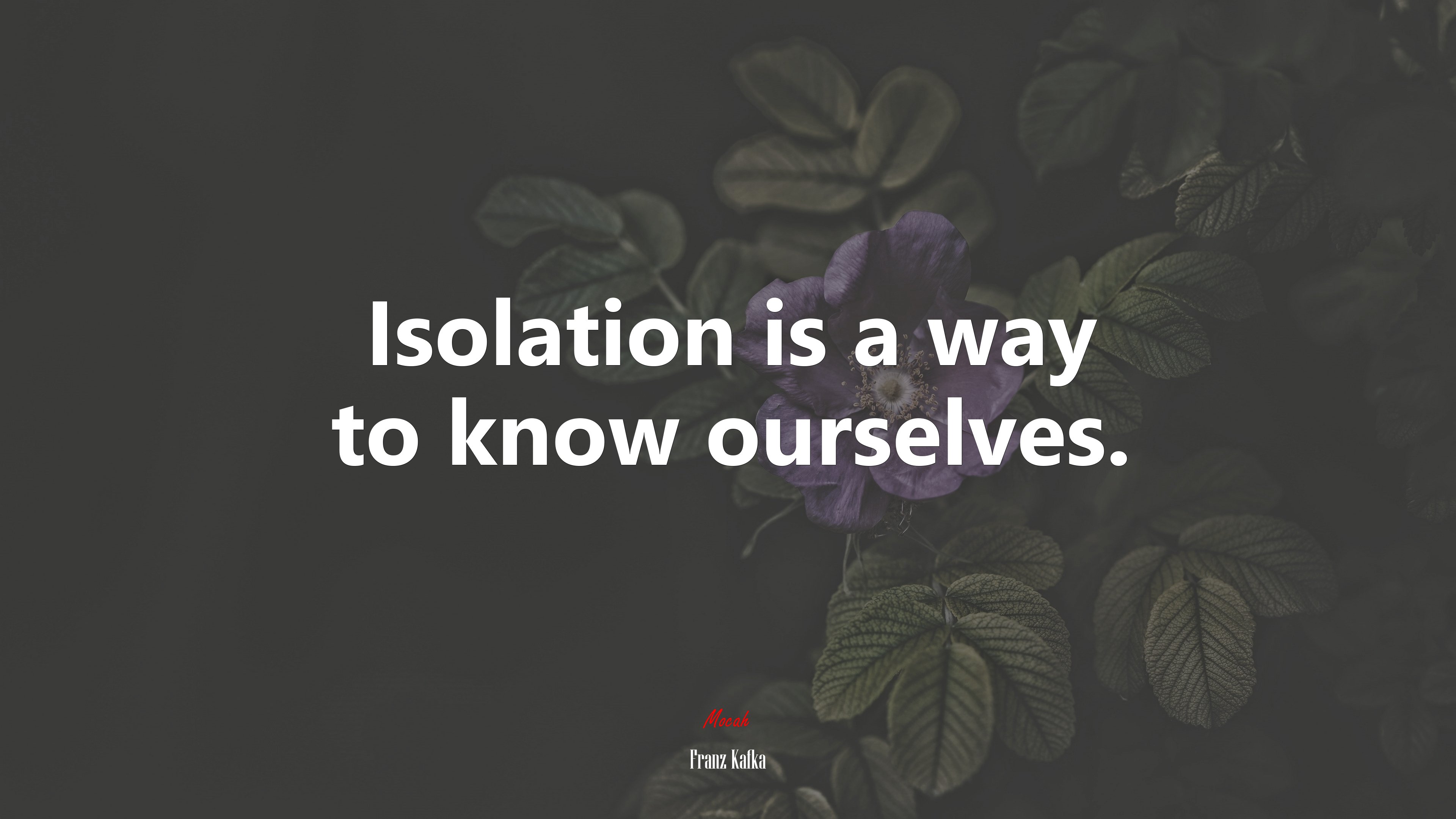 Isolation is a way to know ourselves. | Franz Kafka quote HD Wallpaper