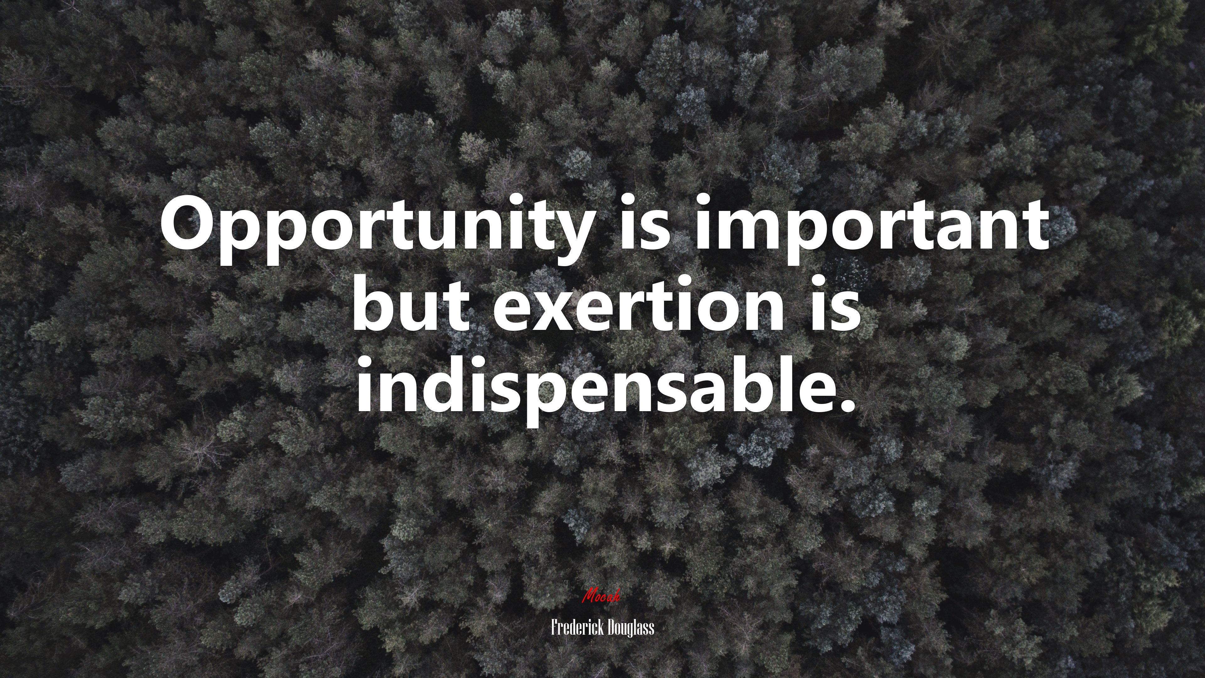 Opportunity is important but exertion is indispensable. | Frederick Douglass quote HD Wallpaper