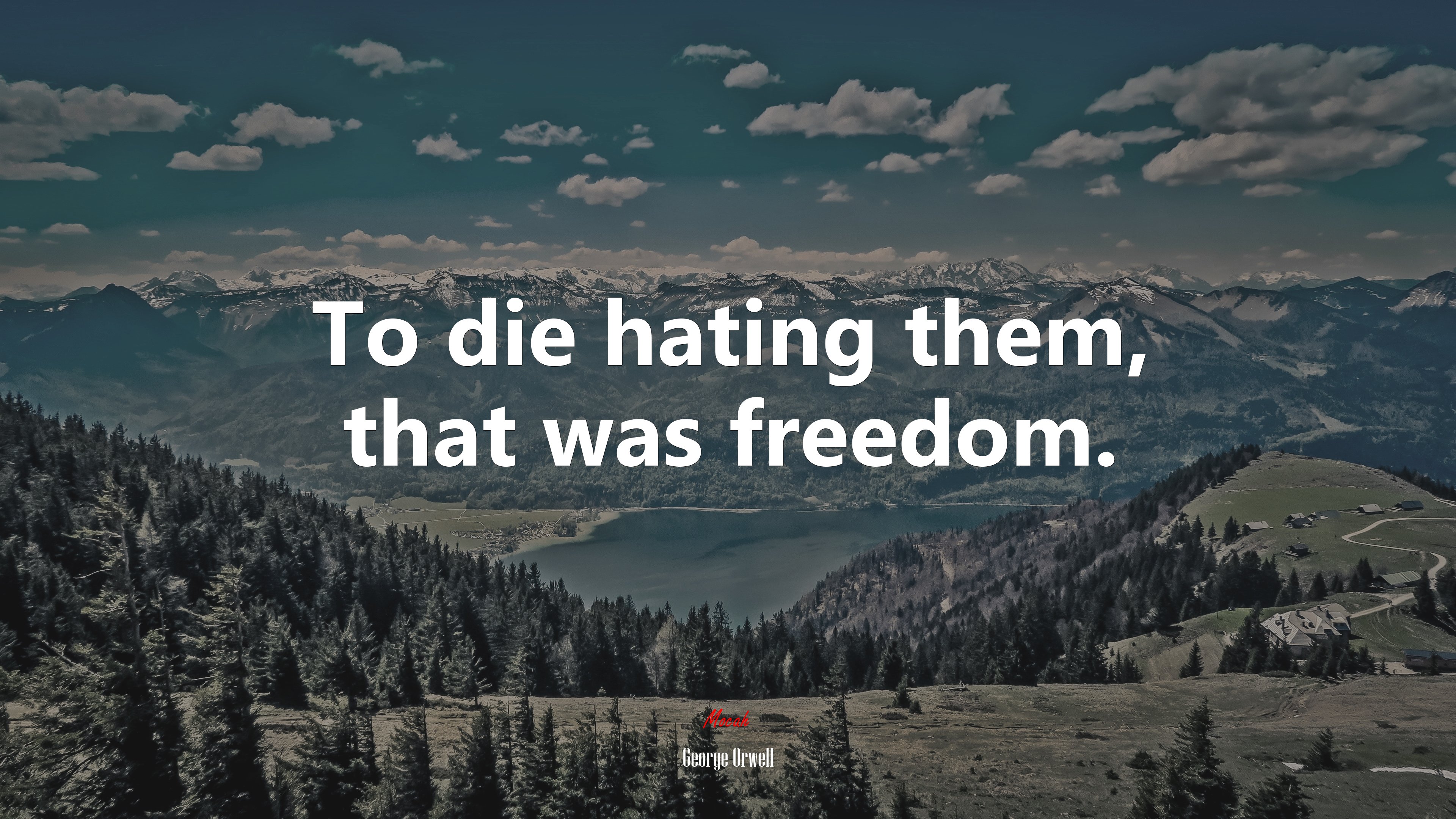 To die hating them, that was freedom. | George Orwell quote HD Wallpaper