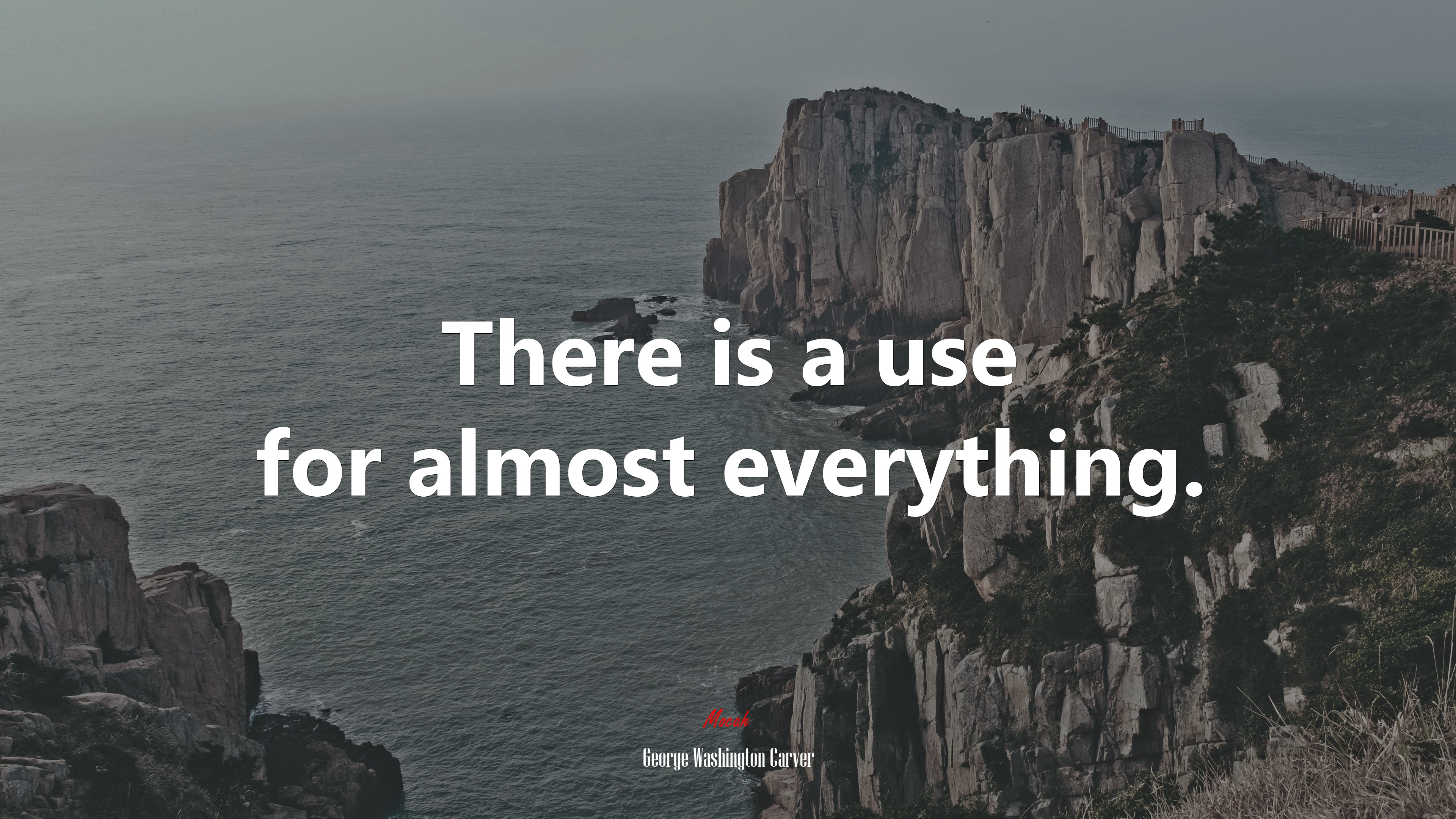 There is a use for almost everything. | George Washington Carver quote HD Wallpaper