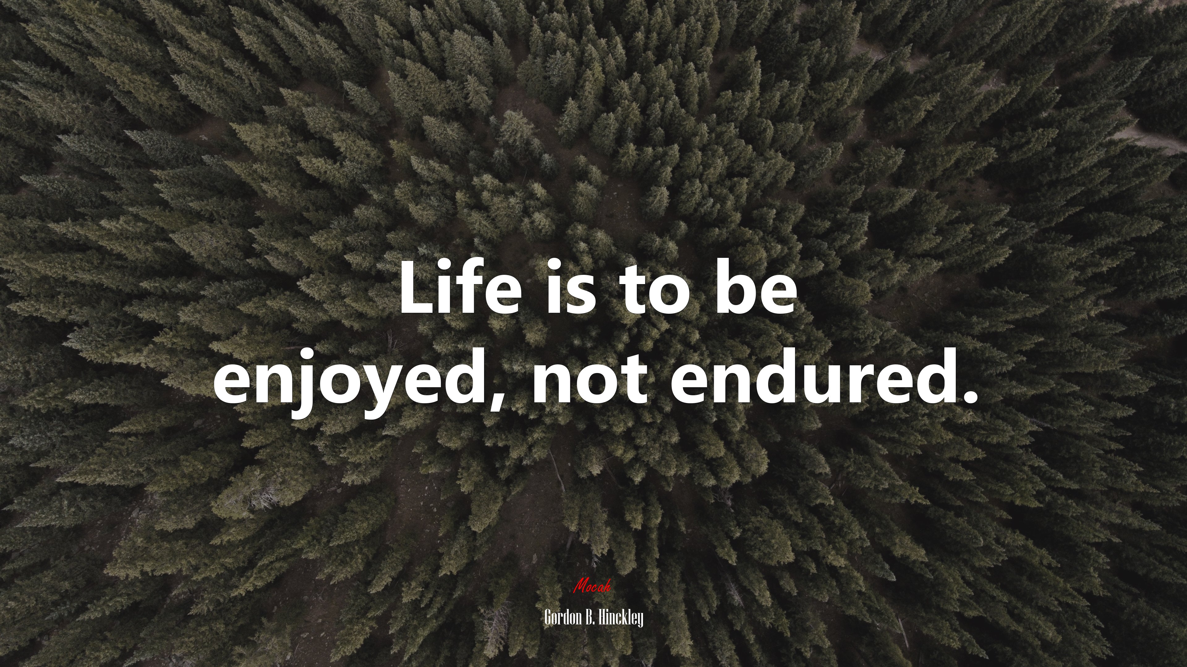 Life is to be enjoyed, not endured. | Gordon B. Hinckley quote HD Wallpaper
