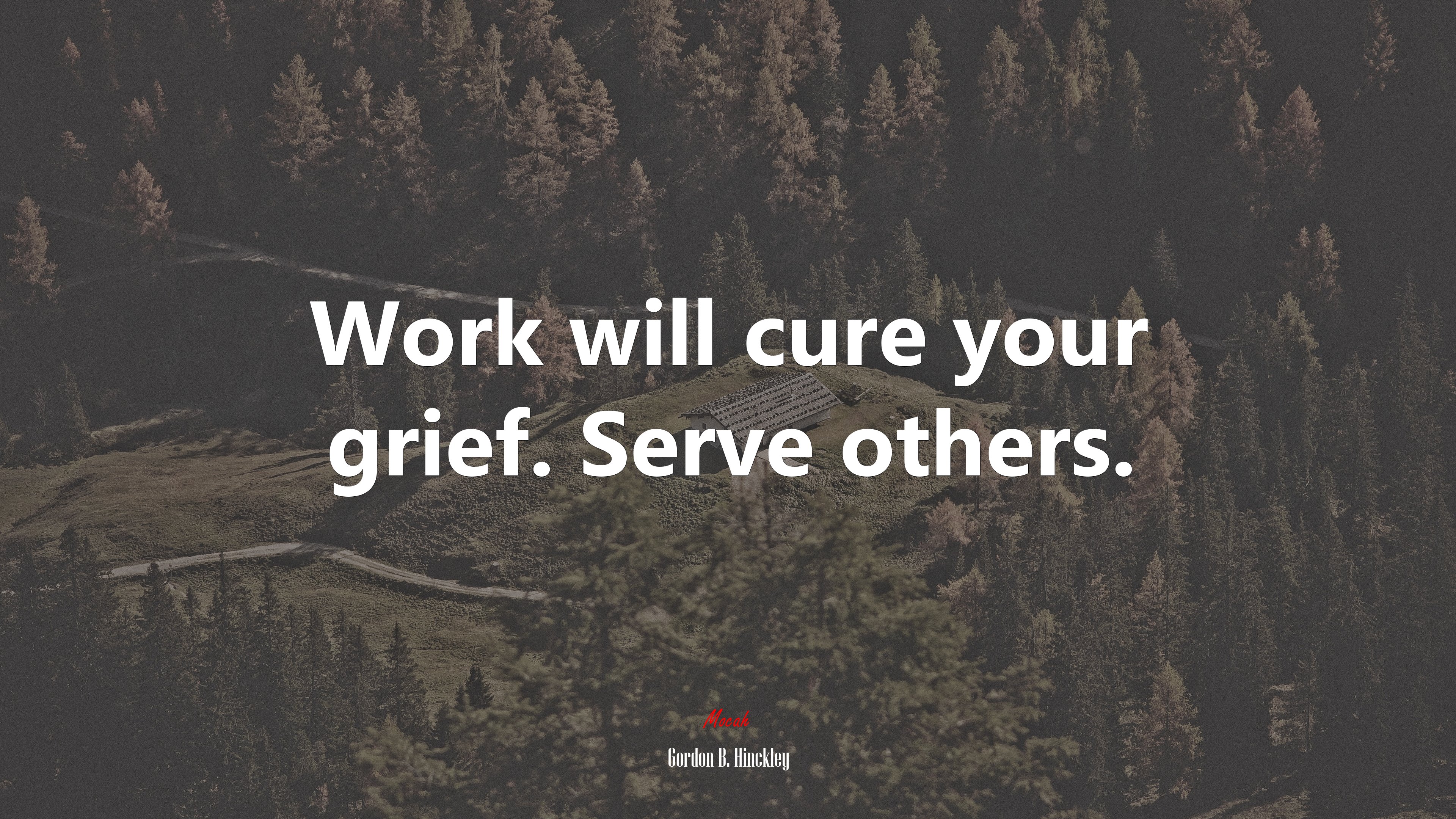 Work will cure your grief. Serve others. | Gordon B. Hinckley quote HD Wallpaper