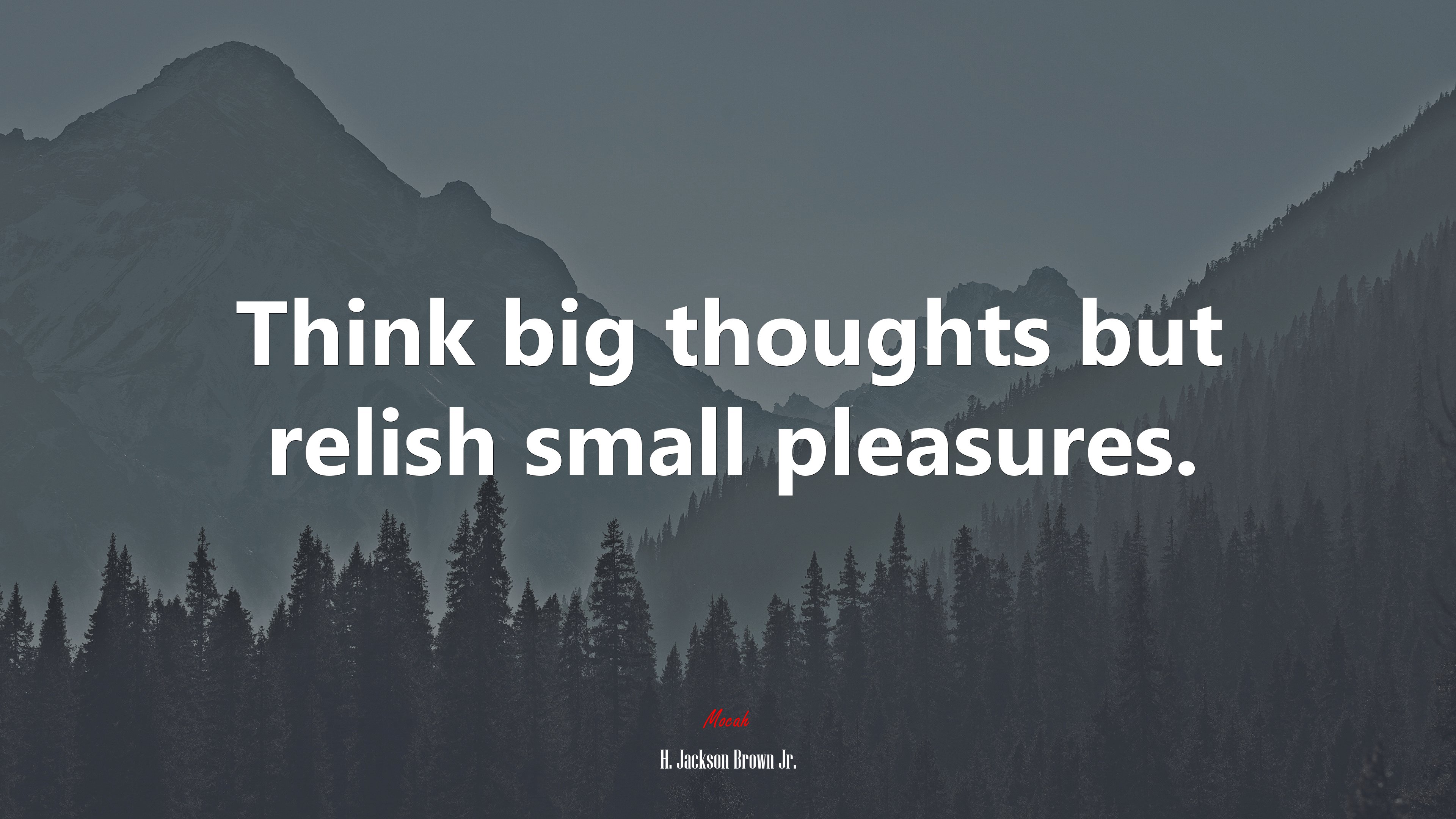 Think big thoughts but relish small pleasures. | H. Jackson Brown Jr. quote HD Wallpaper