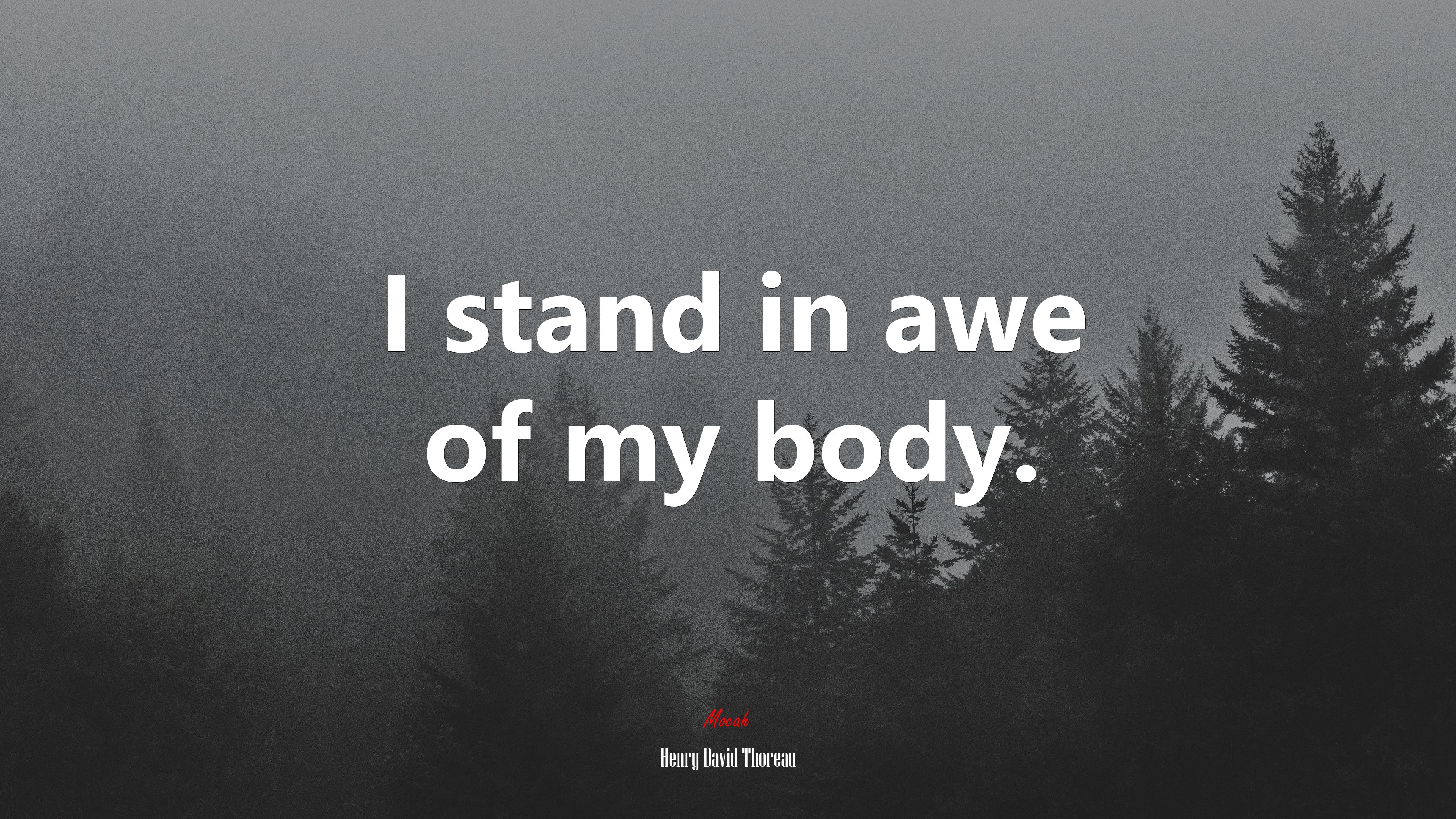 I stand in awe of my body. | Henry David Thoreau quote HD Wallpaper
