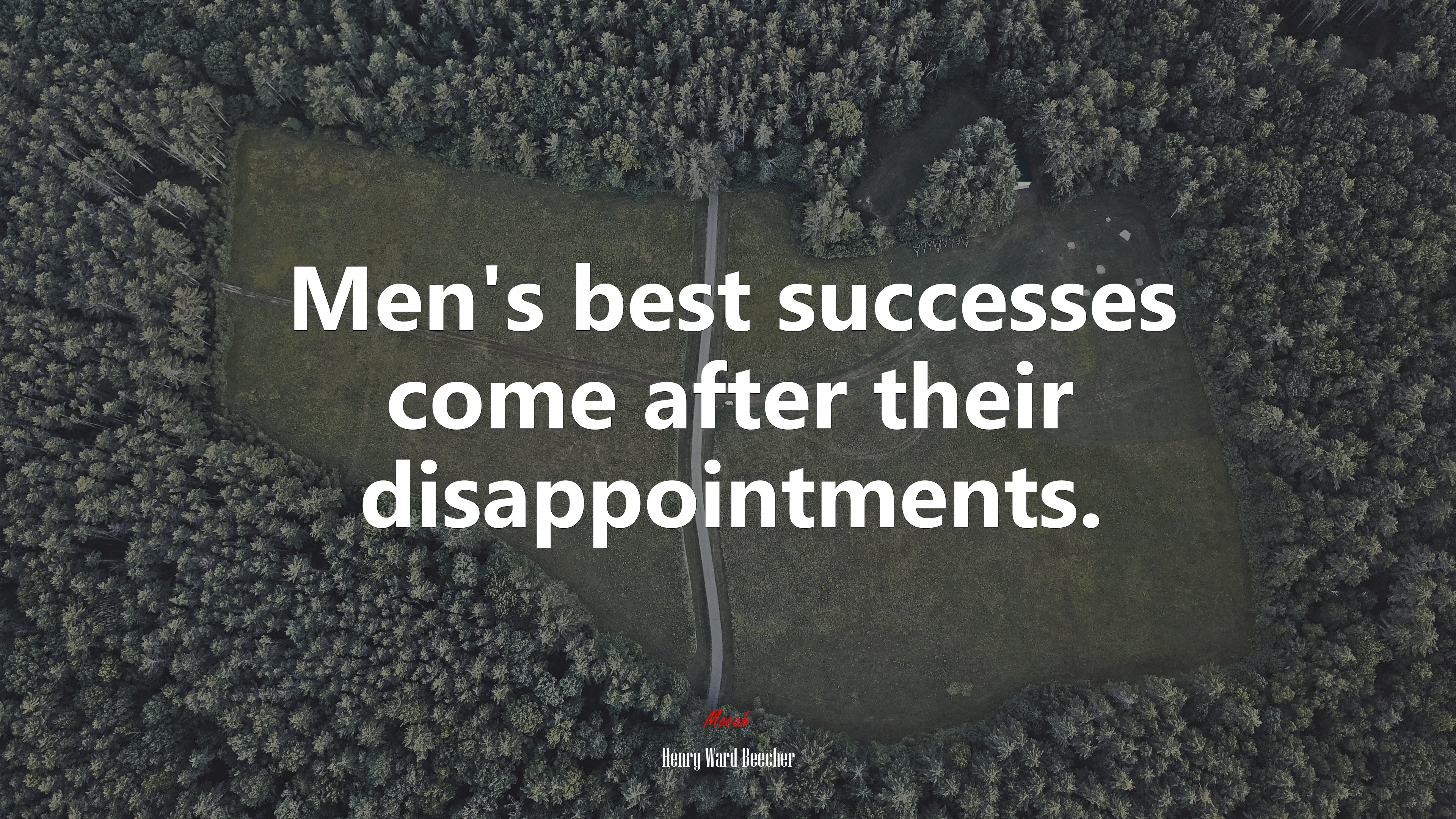 Men’s best successes come after their disappointments. | Henry Ward Beecher quote HD Wallpaper