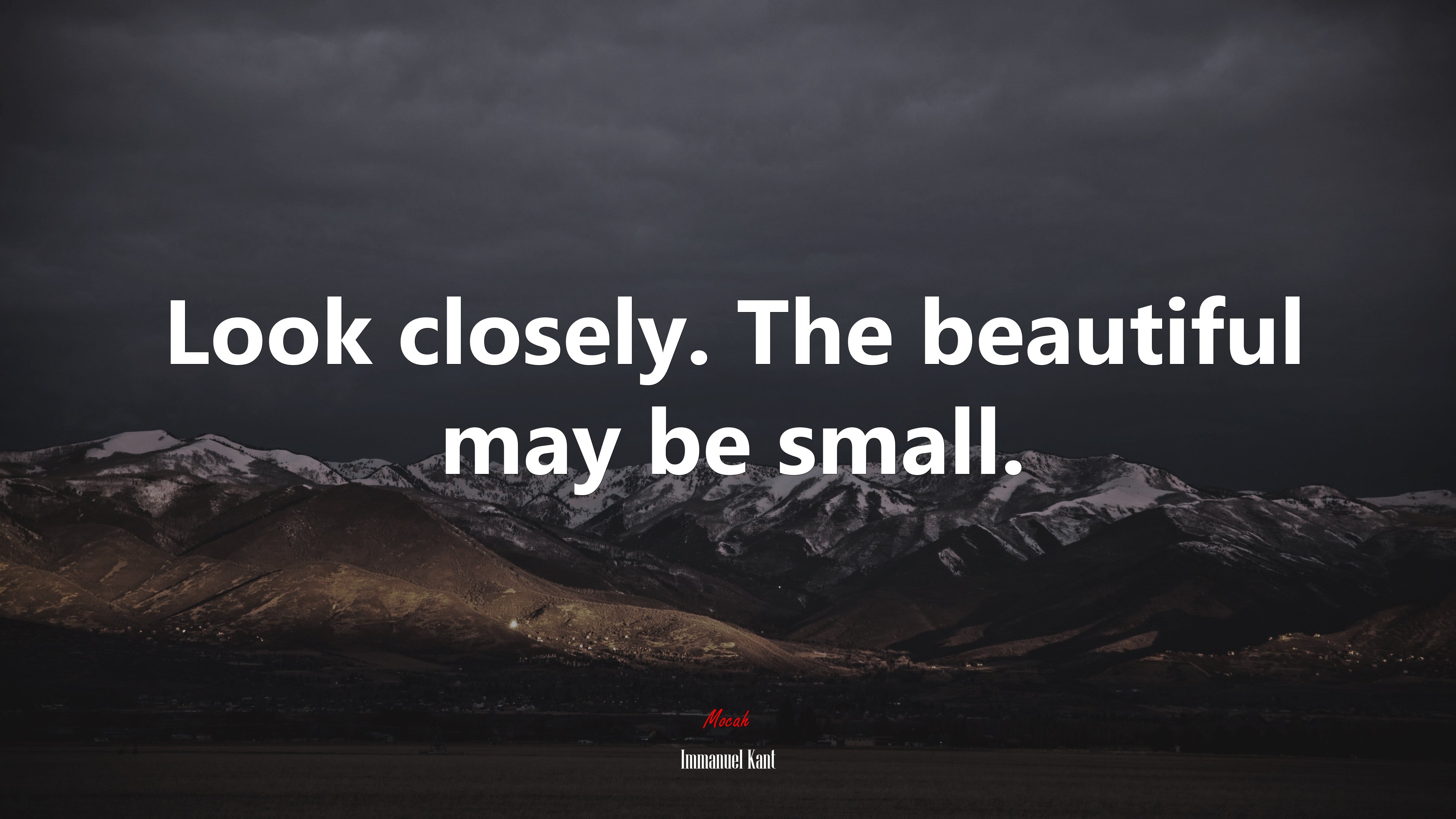 Look closely. The beautiful may be small. | Immanuel Kant quote HD Wallpaper