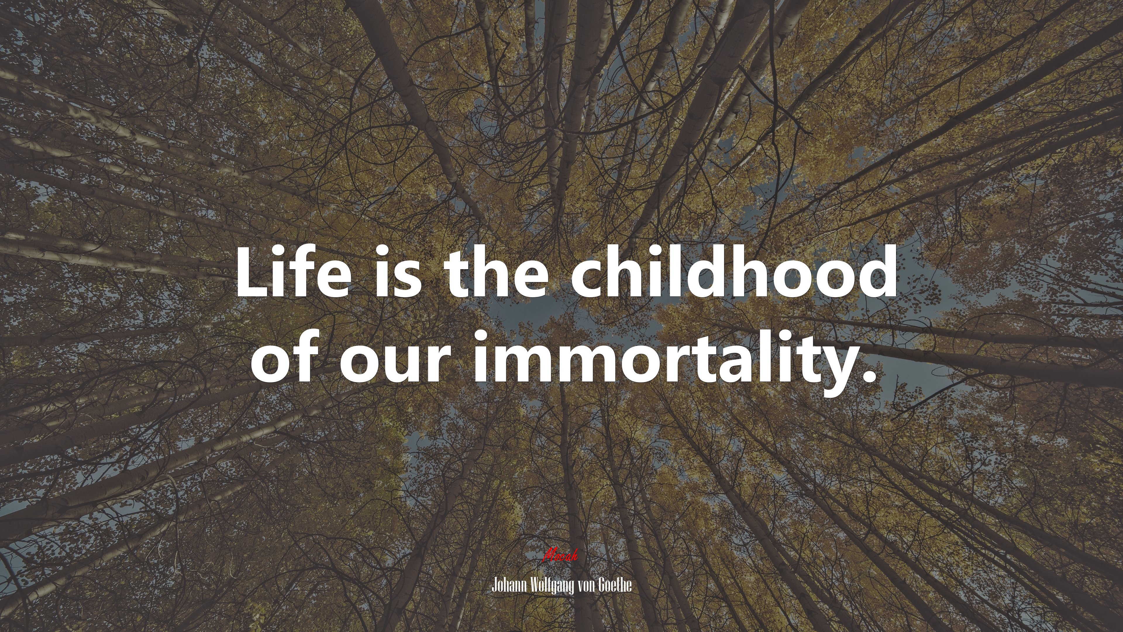 Life is the childhood of our immortality. | Johann Wolfgang von Goethe quote HD Wallpaper
