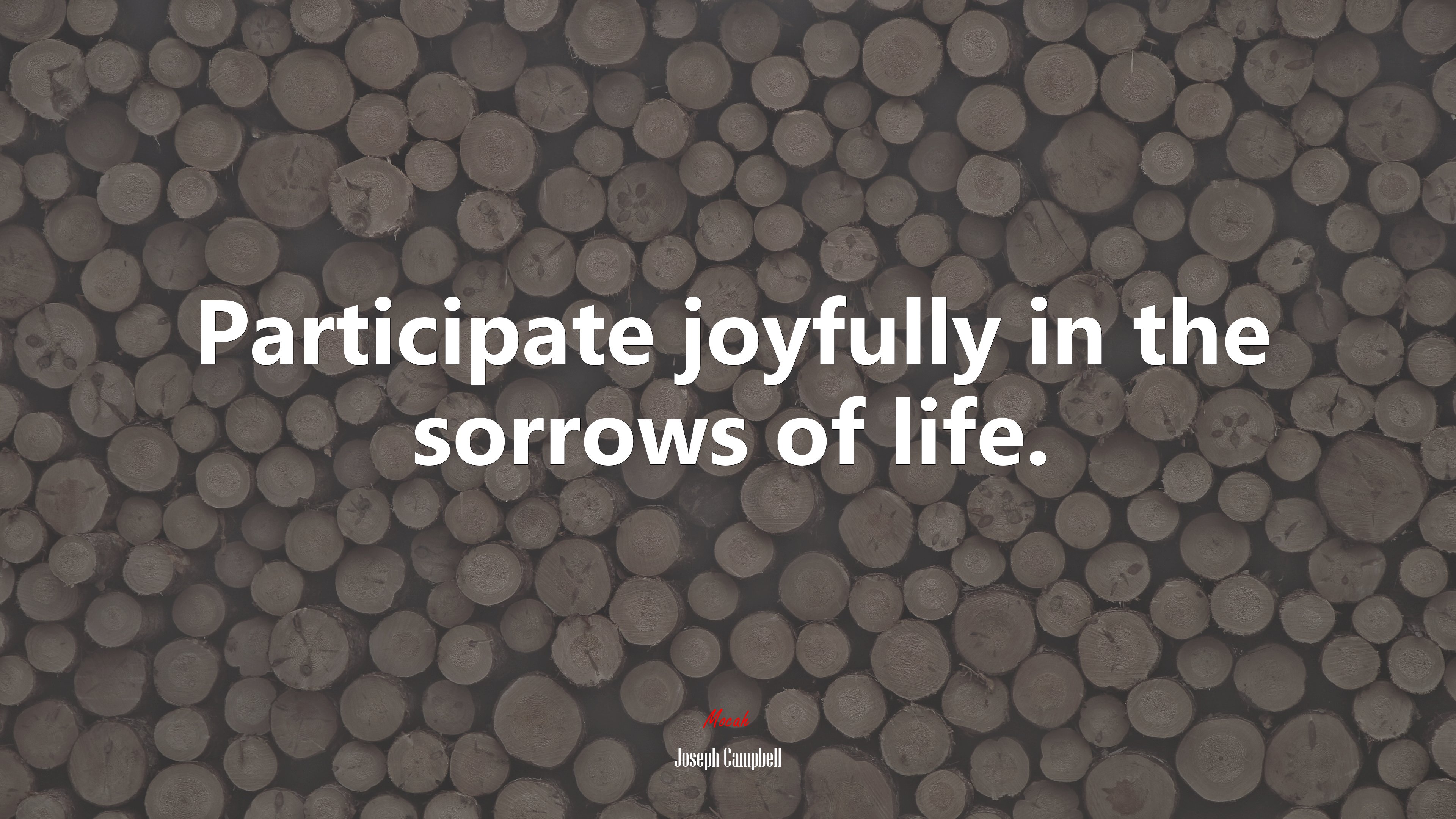 Participate joyfully in the sorrows of life. | Joseph Campbell quote HD Wallpaper