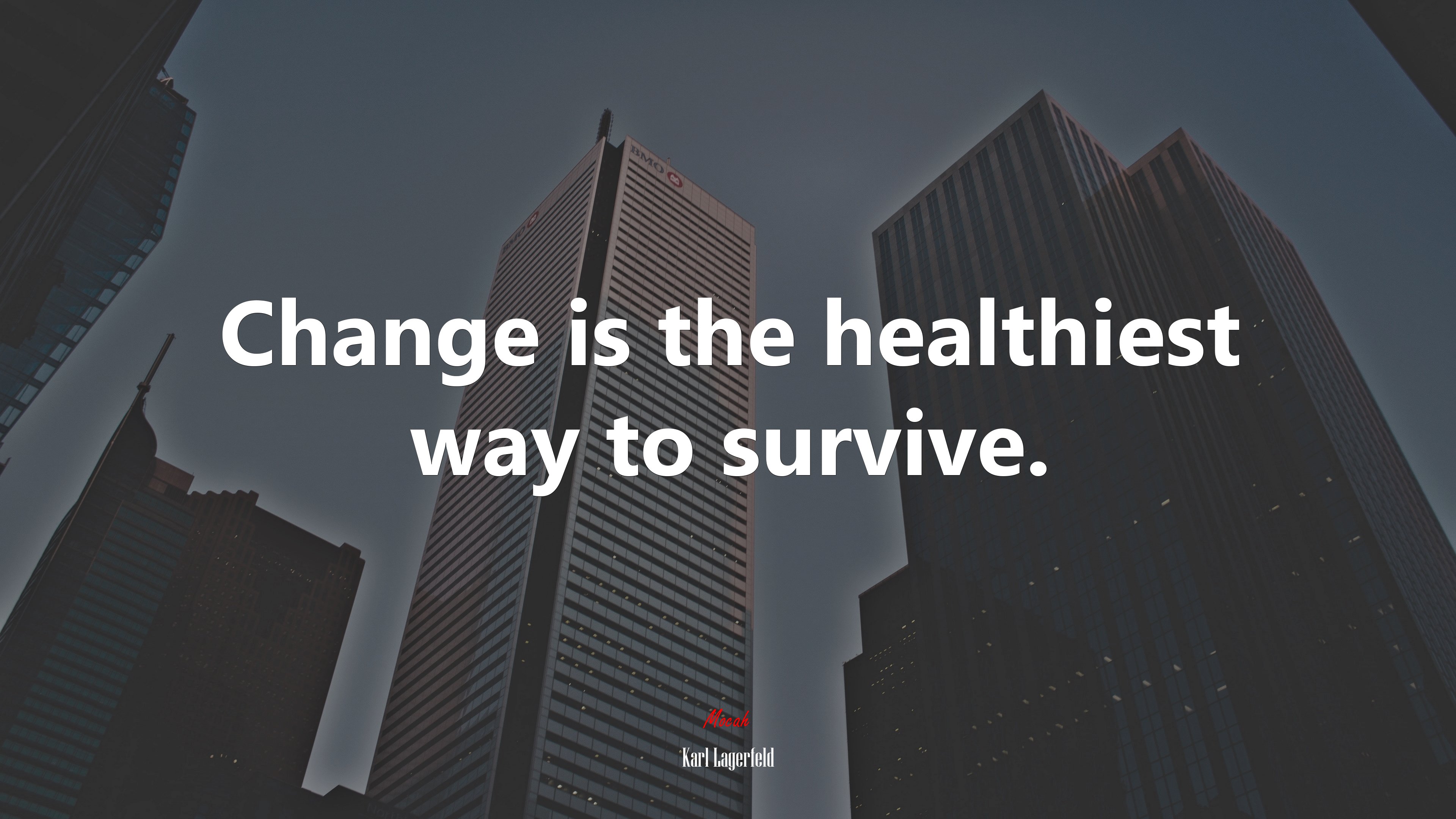 Change is the healthiest way to survive. | Karl Lagerfeld quote HD Wallpaper