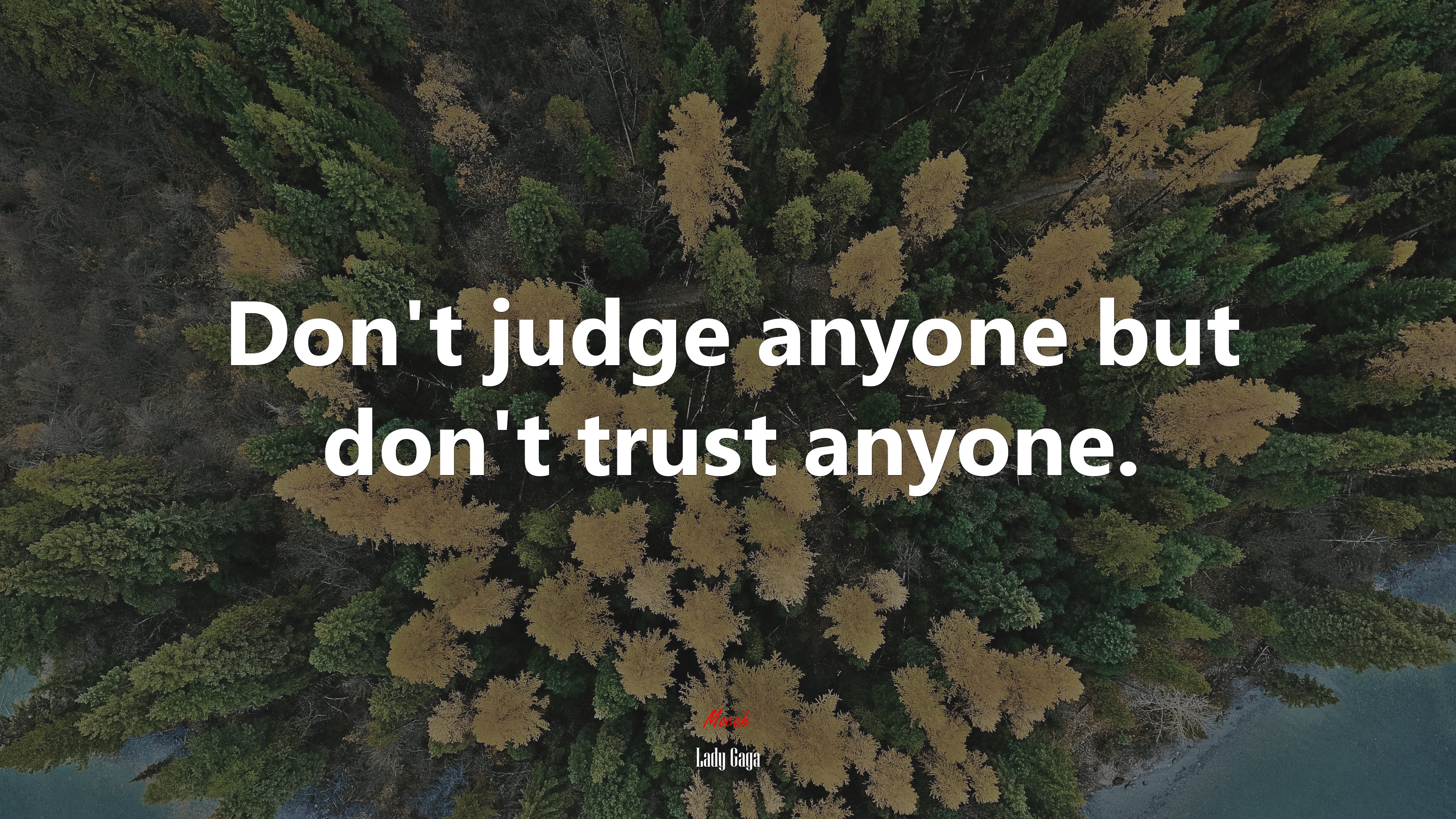 Don’t judge anyone but don’t trust anyone. | Lady Gaga quote HD Wallpaper