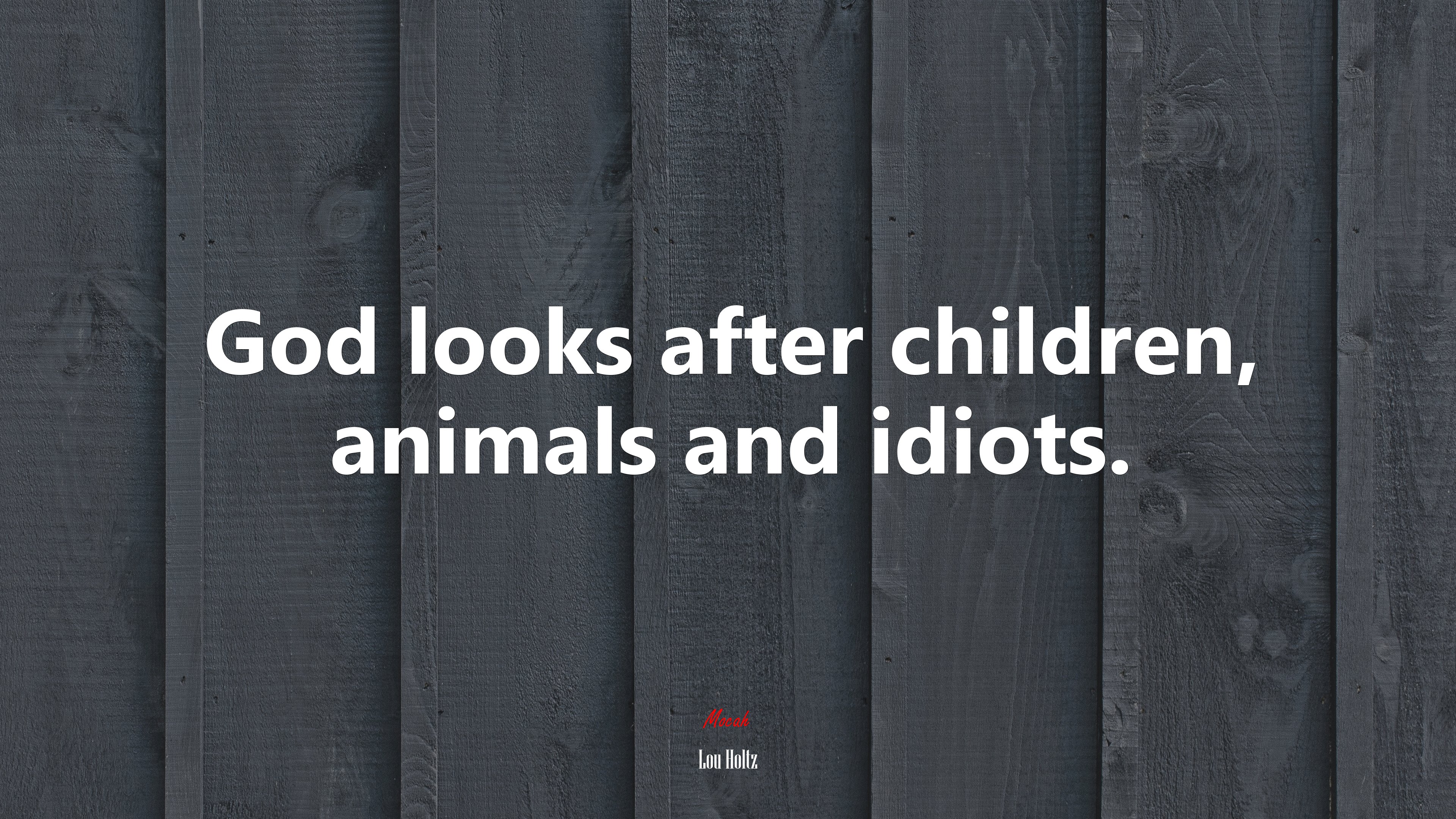 God looks after children, animals and idiots. | Lou Holtz quote HD Wallpaper
