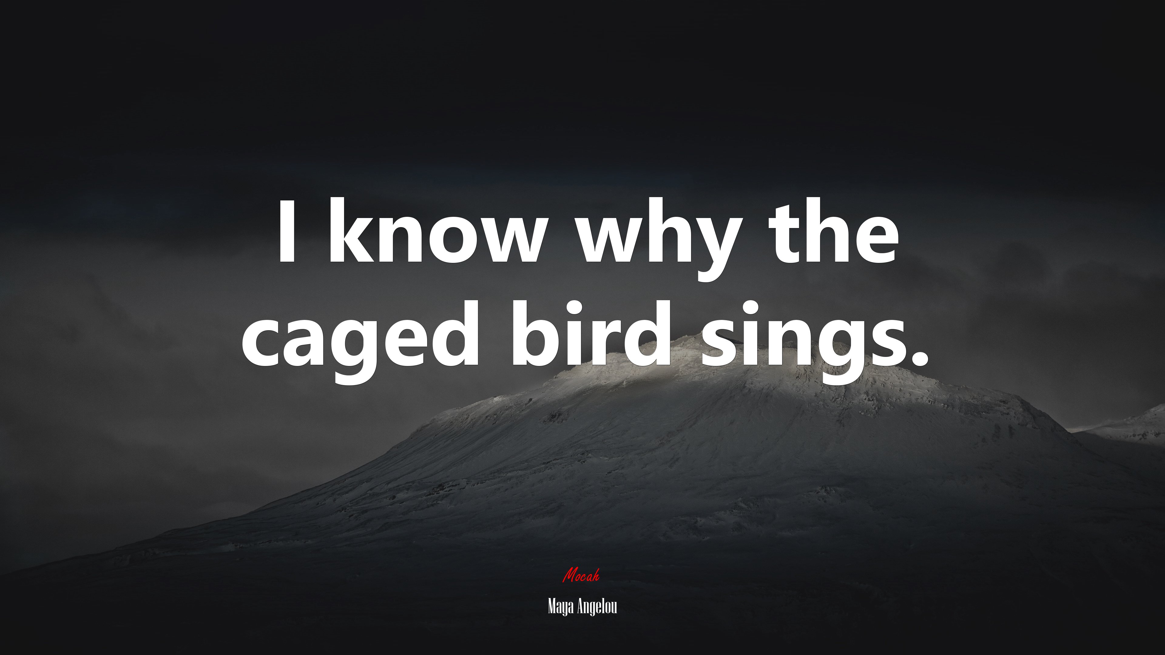 I know why the caged bird sings. | Maya Angelou quote HD Wallpaper