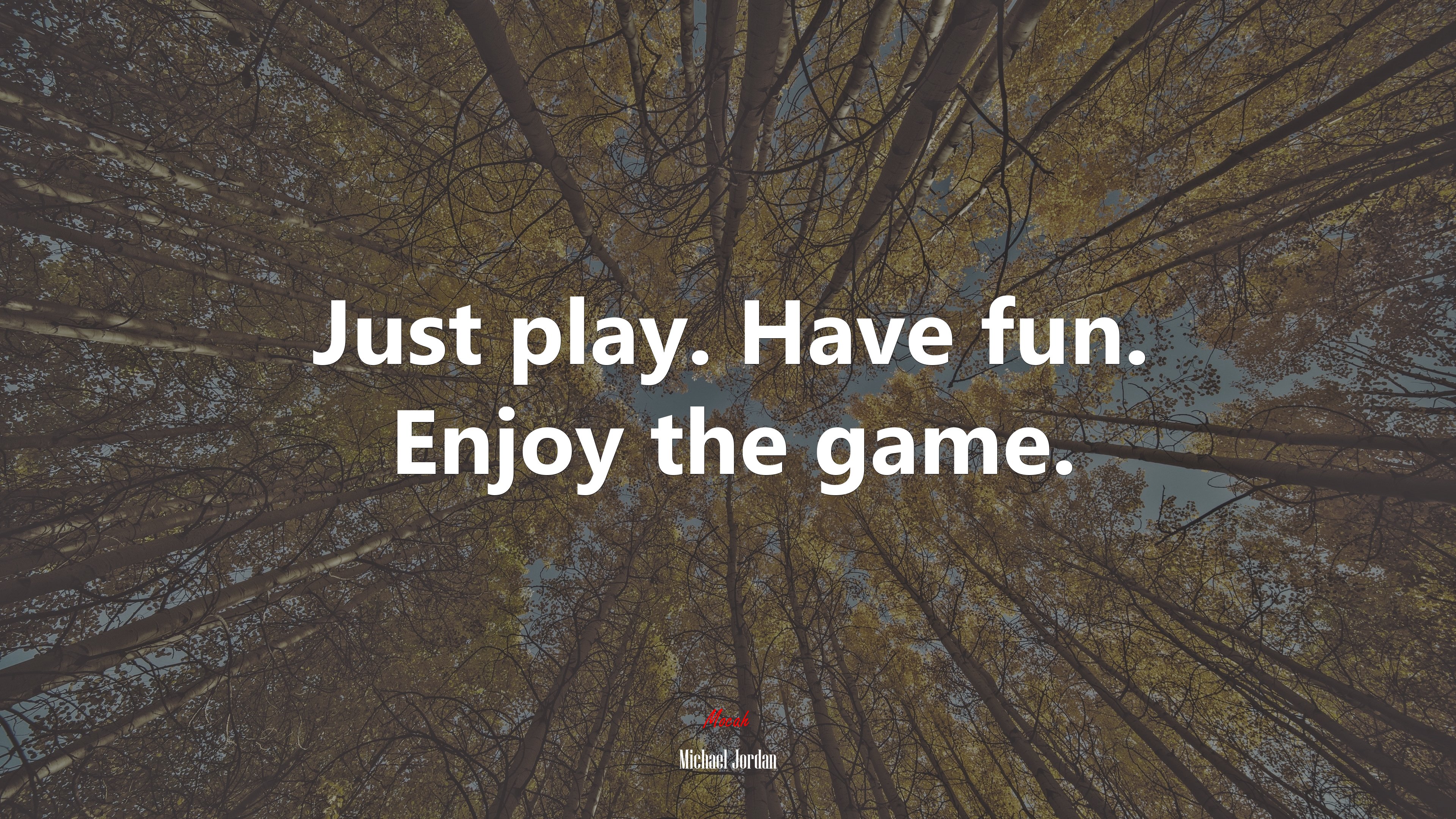 Just play. Have fun. Enjoy the game. | Michael Jordan quote HD Wallpaper
