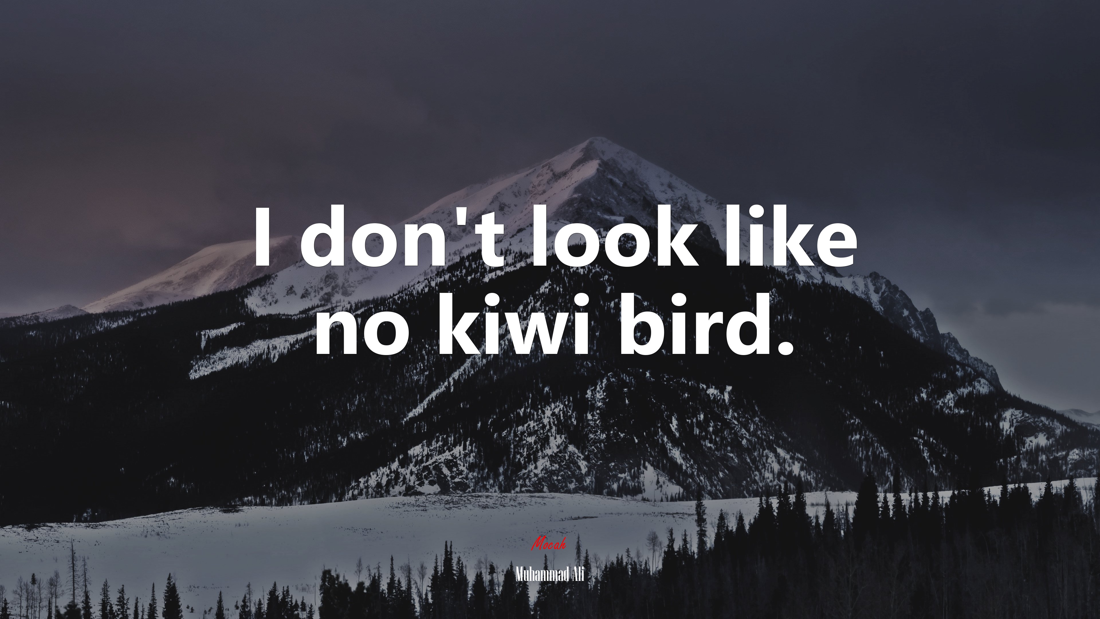 I don’t look like no kiwi bird. | Muhammad Ali quote HD Wallpaper