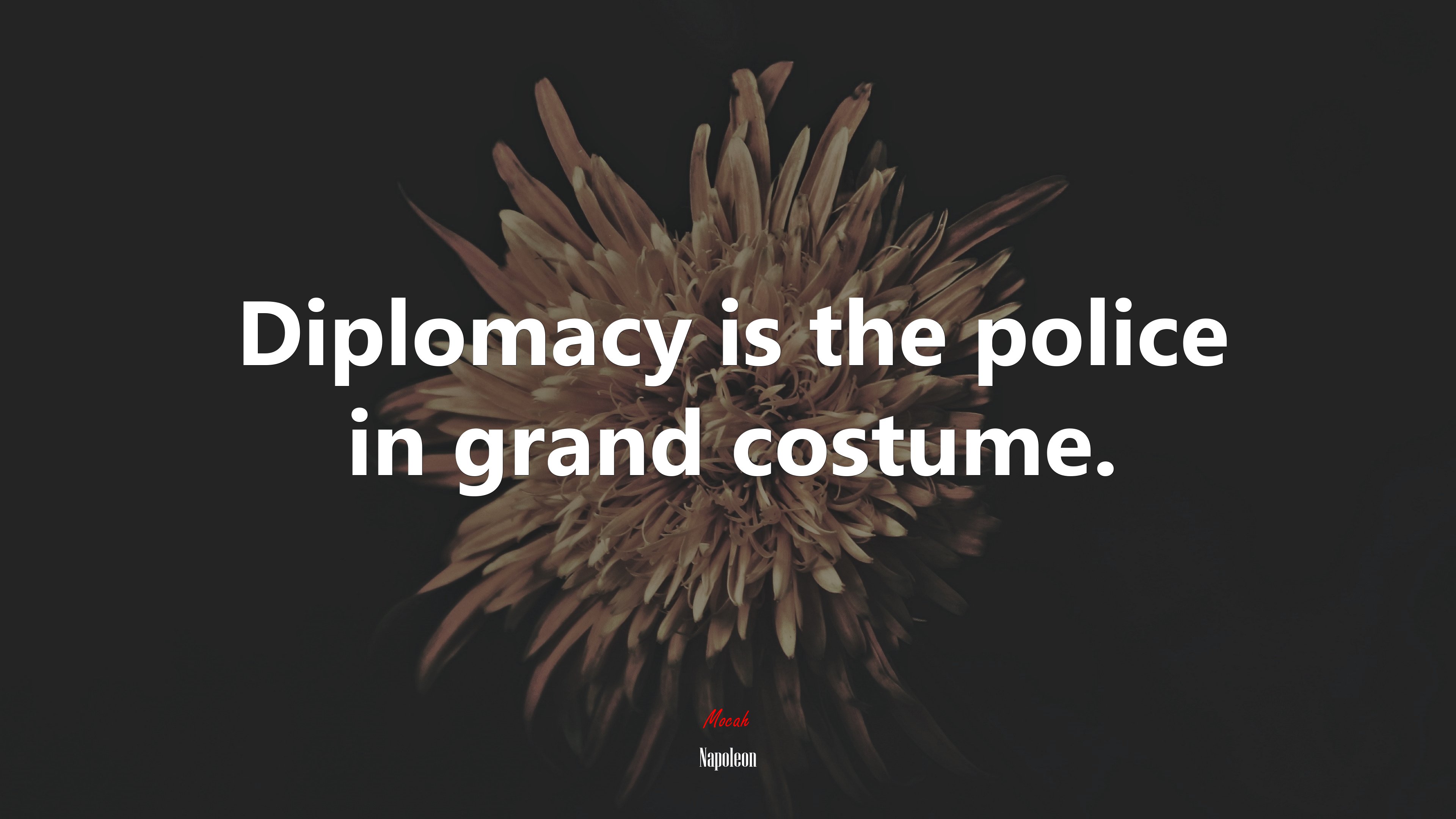 Diplomacy is the police in grand costume. | Napoleon quote HD Wallpaper