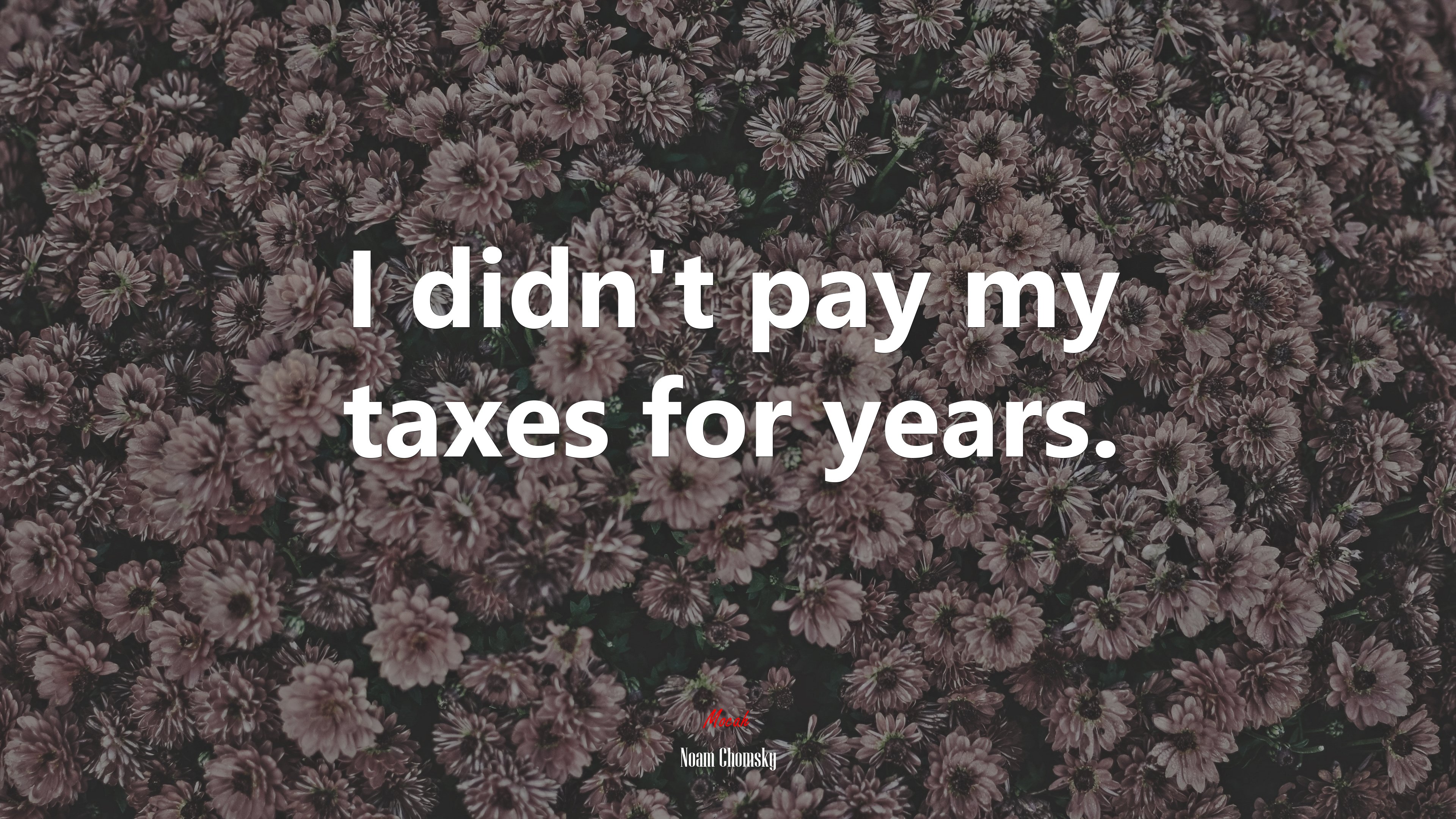 I didn’t pay my taxes for years. | Noam Chomsky quote HD Wallpaper
