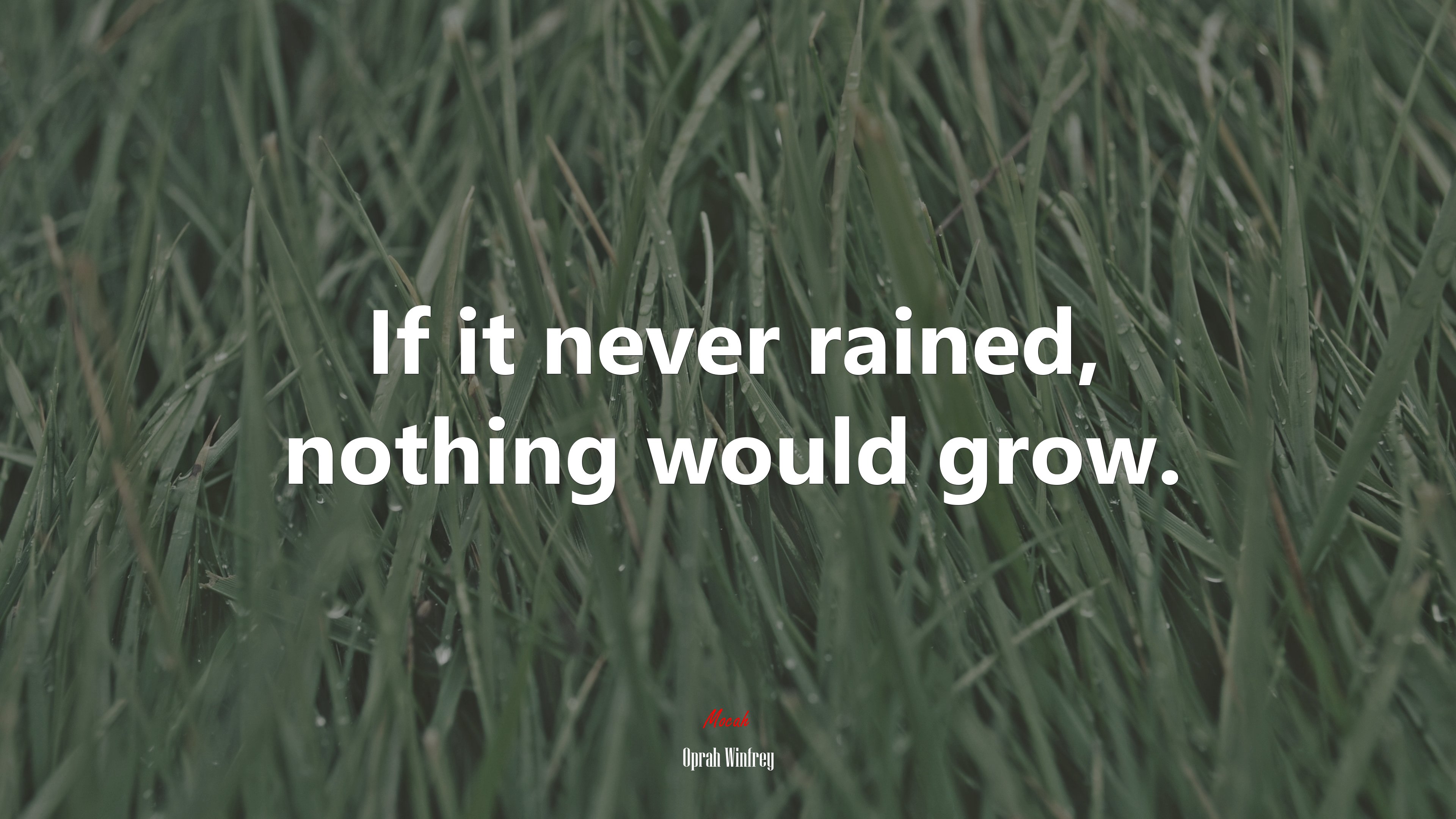 If it never rained, nothing would grow. | Oprah Winfrey quote HD Wallpaper