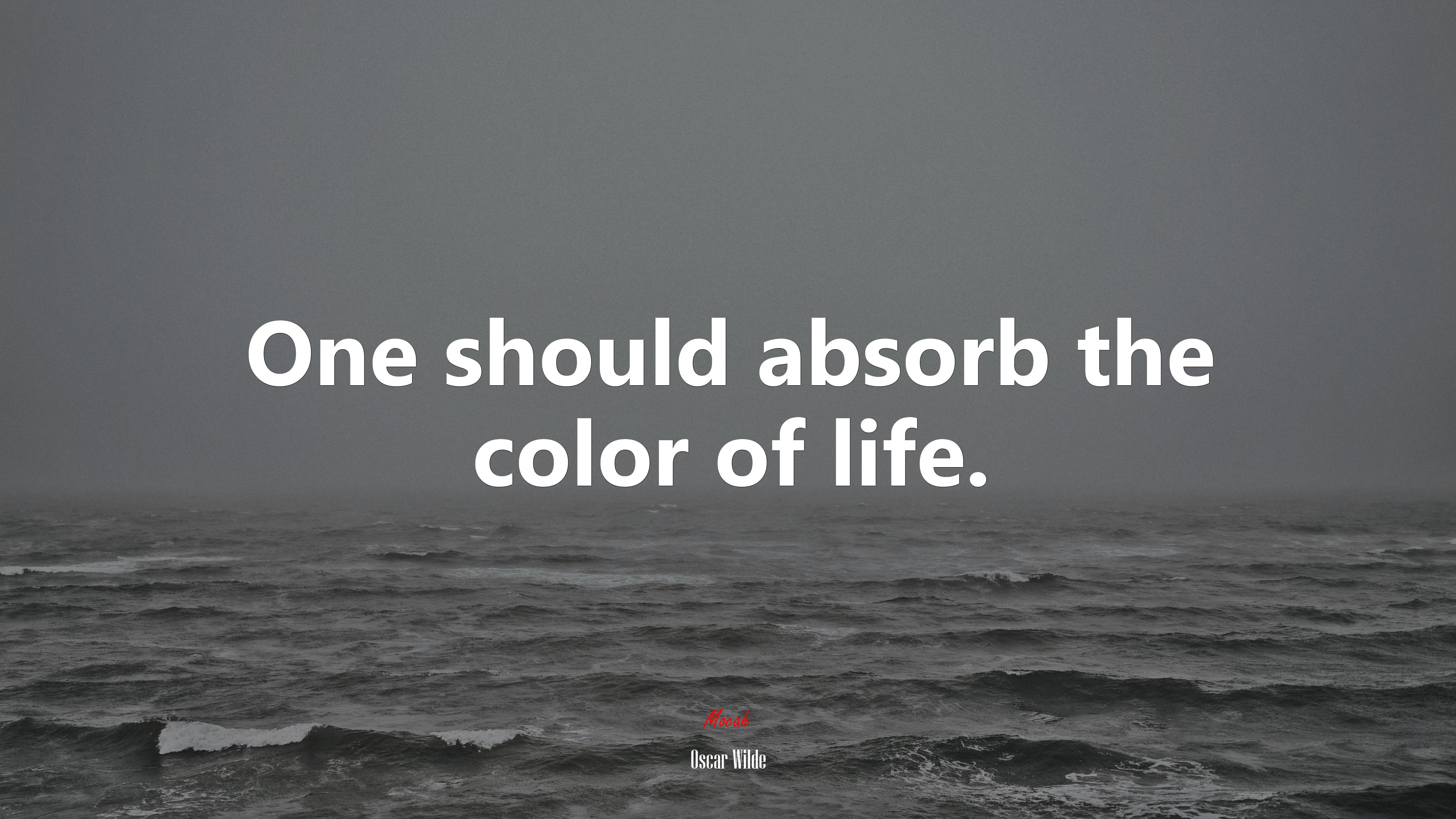 One should absorb the color of life. | Oscar Wilde quote HD Wallpaper