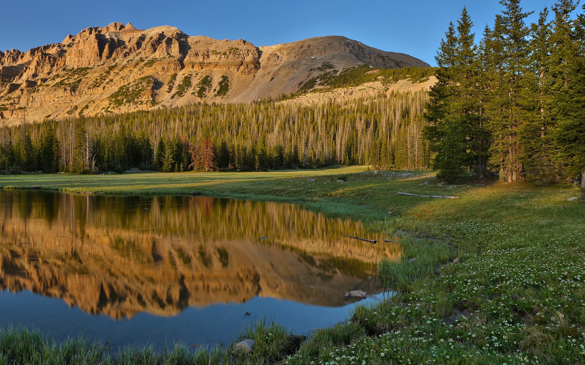 Mountain lake reflection with pine trees and rocky peaks HD Wallpaper