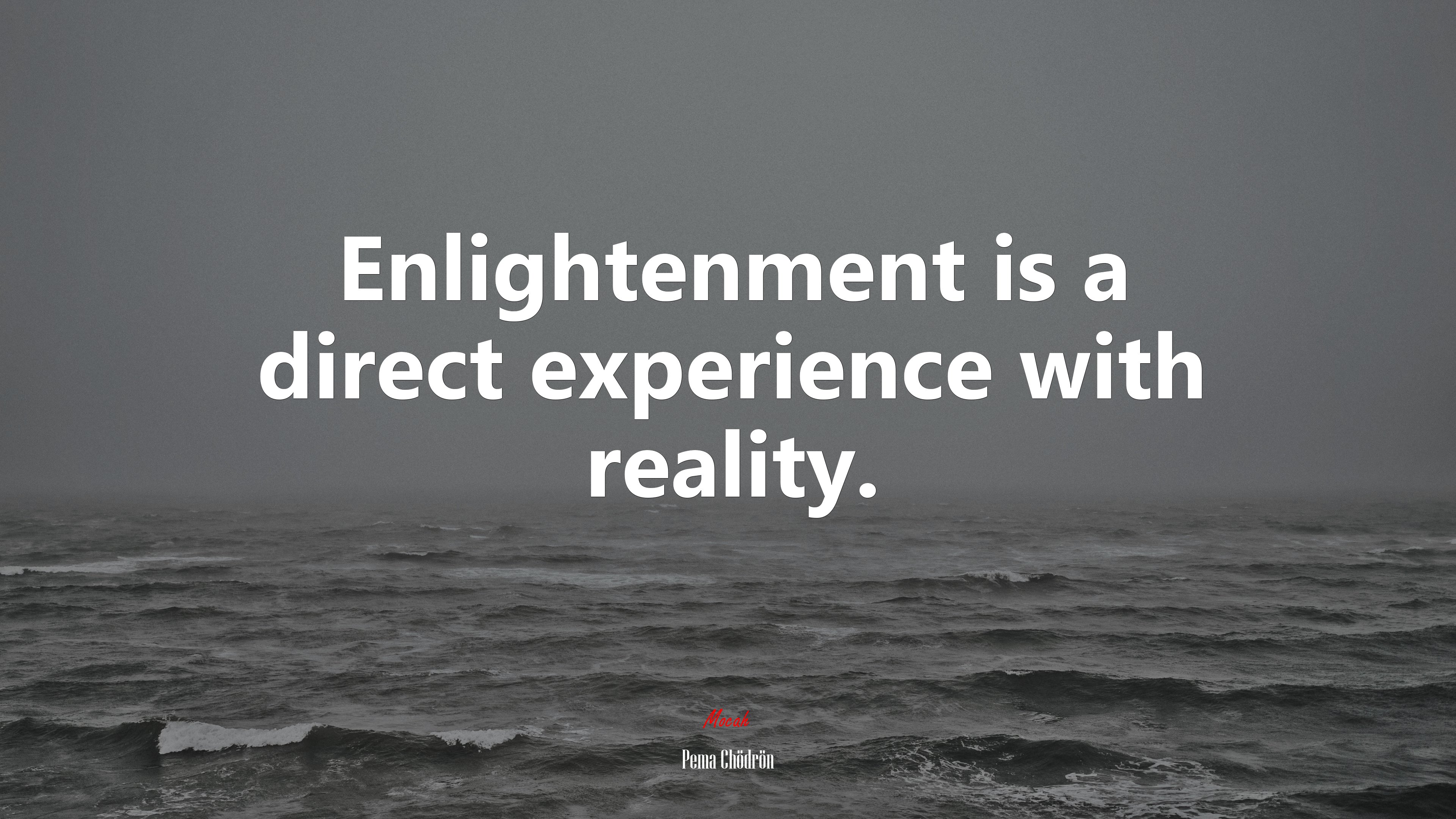 Enlightenment is a direct experience with reality. | Pema Chödrön quote HD Wallpaper