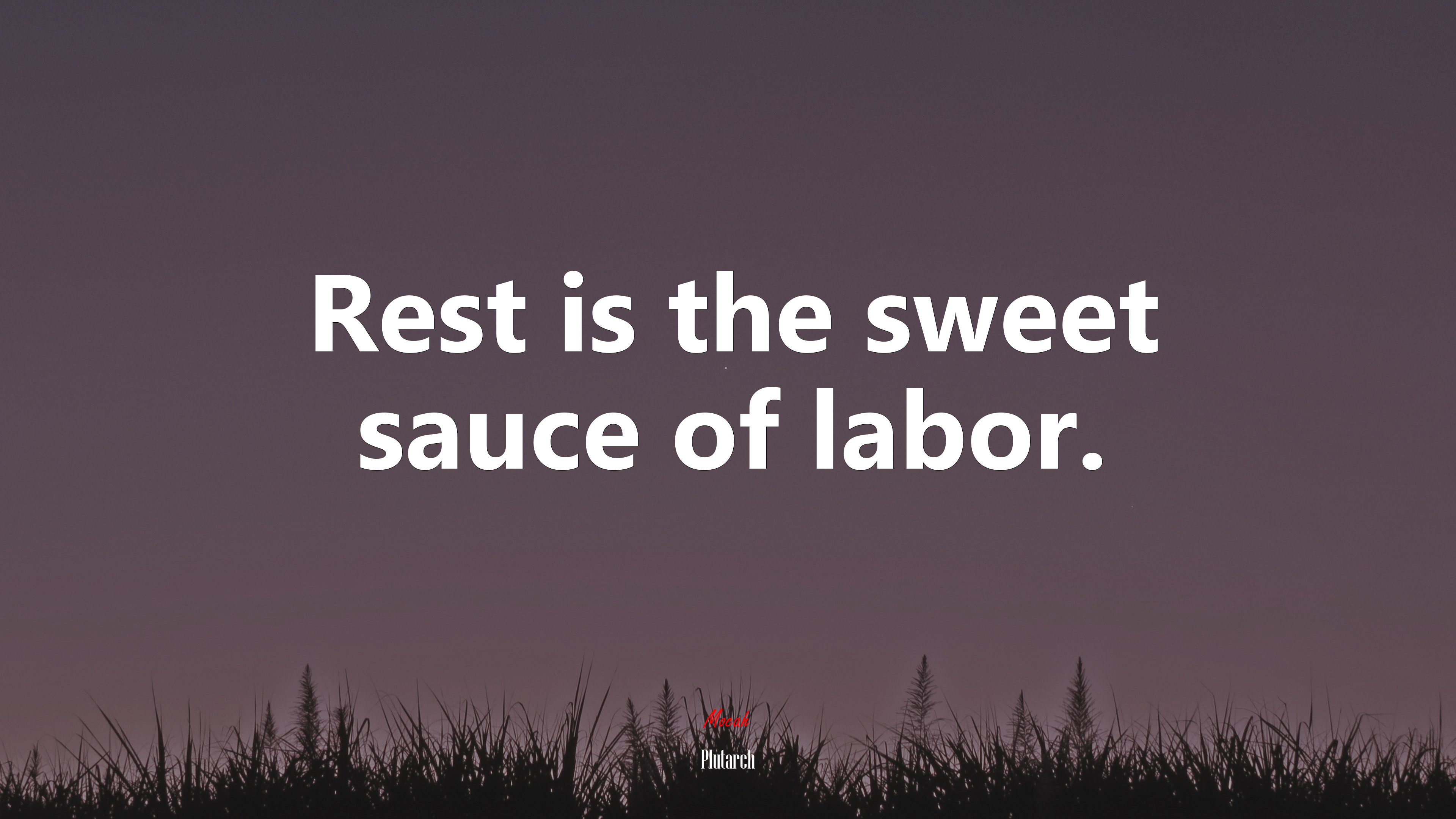 Rest is the sweet sauce of labor. | Plutarch quote HD Wallpaper