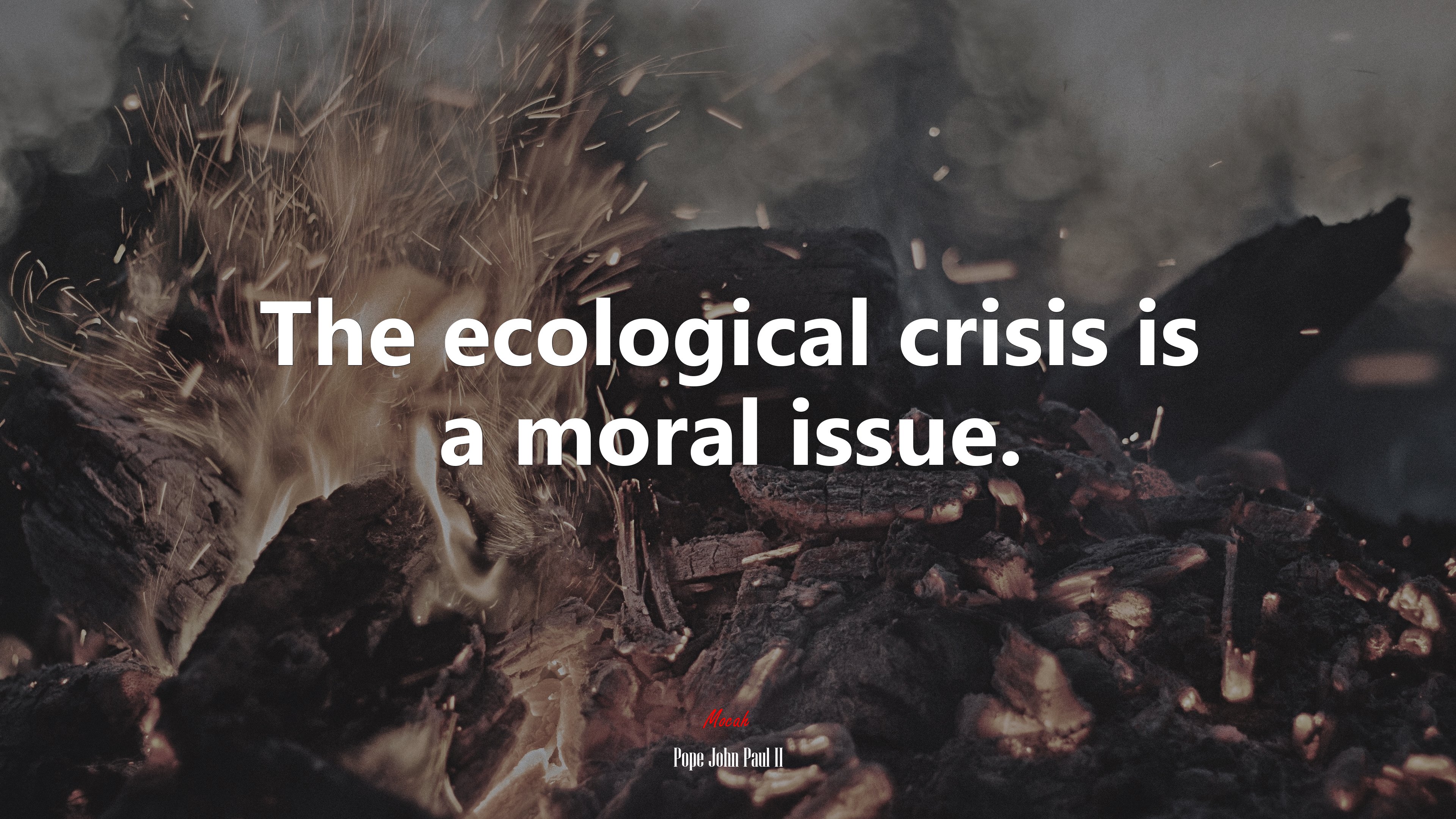 The ecological crisis is a moral issue. | Pope John Paul II quote HD Wallpaper