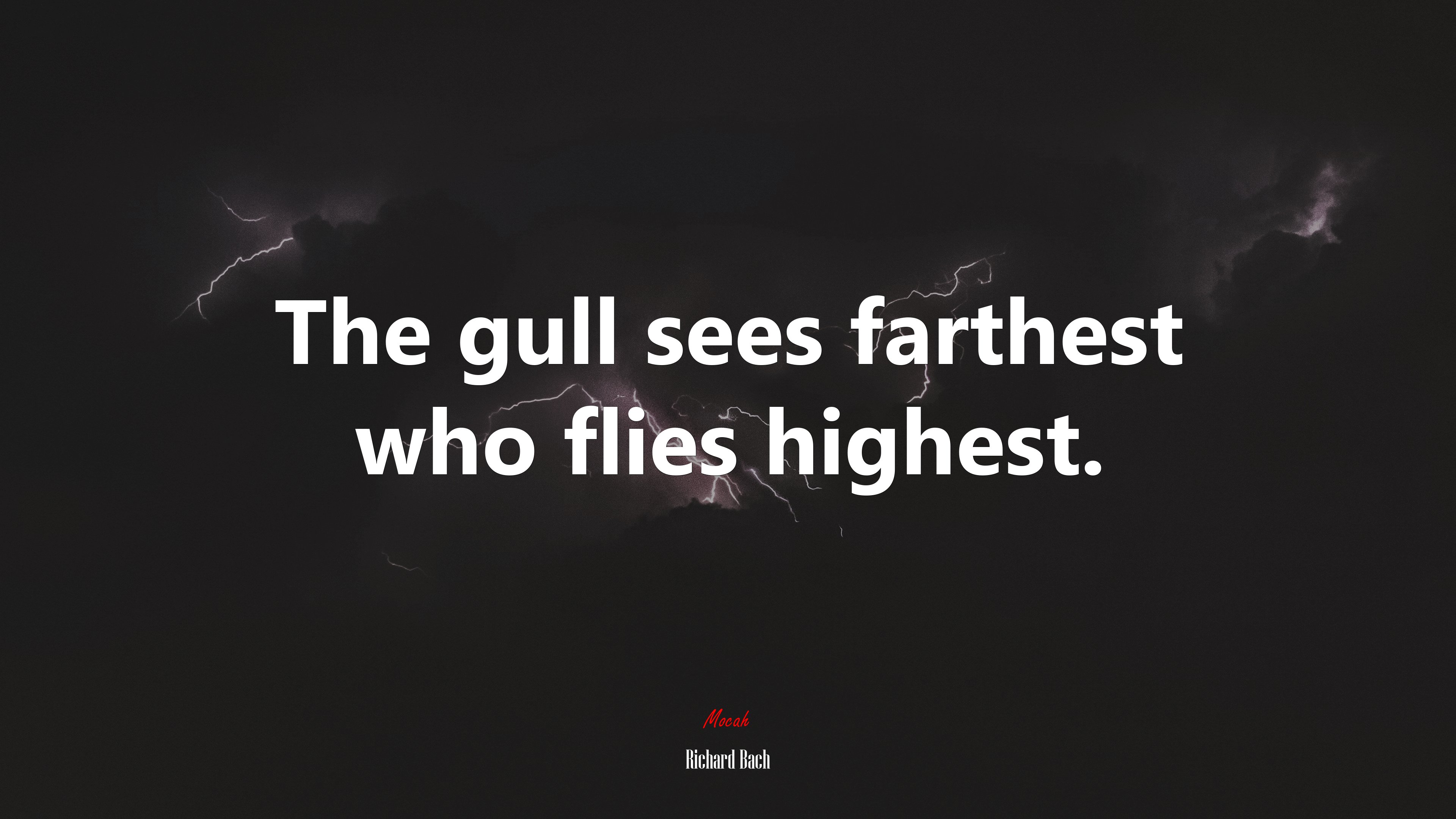 The gull sees farthest who flies highest. | Richard Bach quote HD Wallpaper