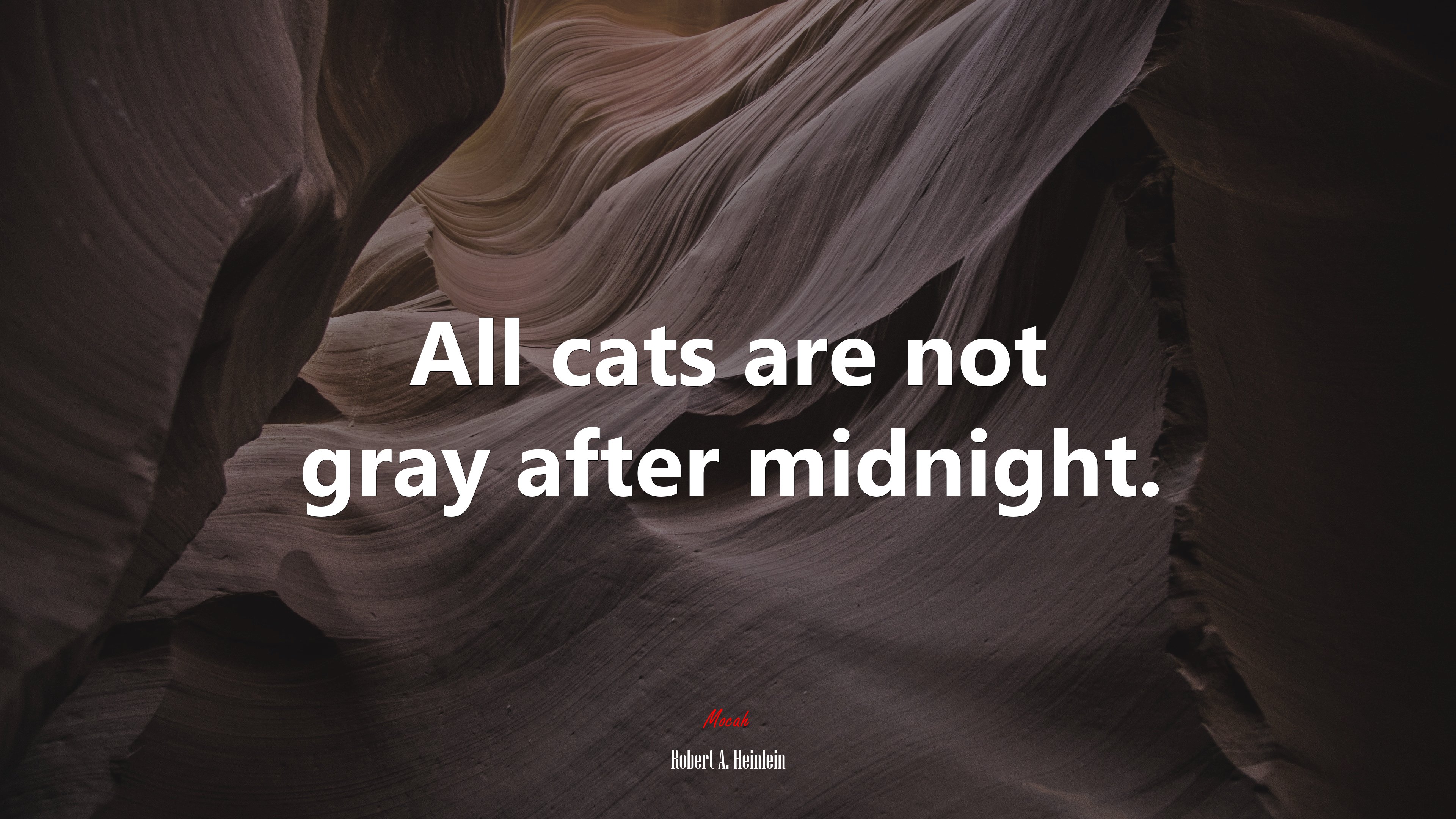 All cats are not gray after midnight. | Robert A. Heinlein quote HD Wallpaper