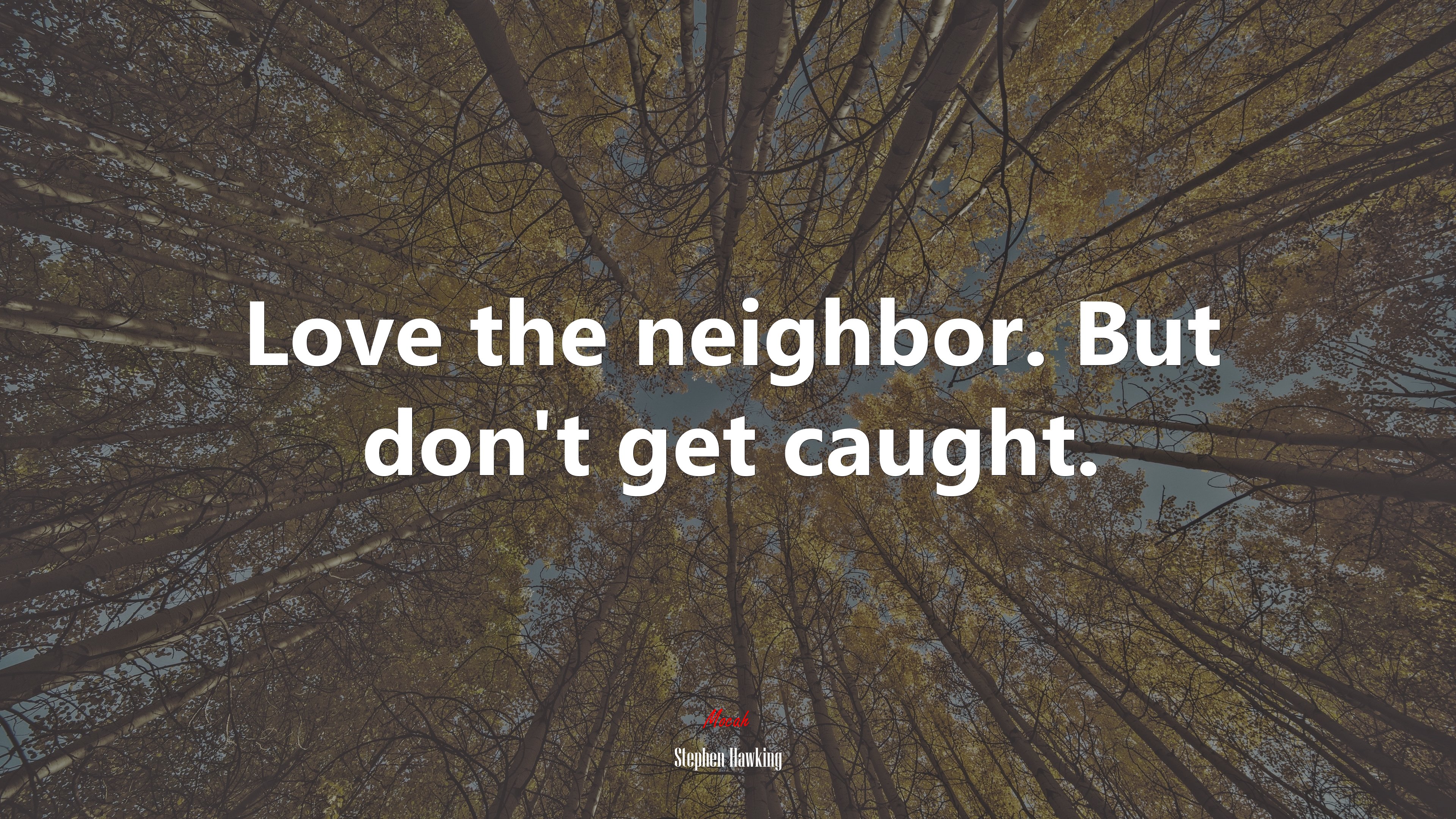 Love the neighbor. But don’t get caught. | Stephen Hawking quote HD Wallpaper