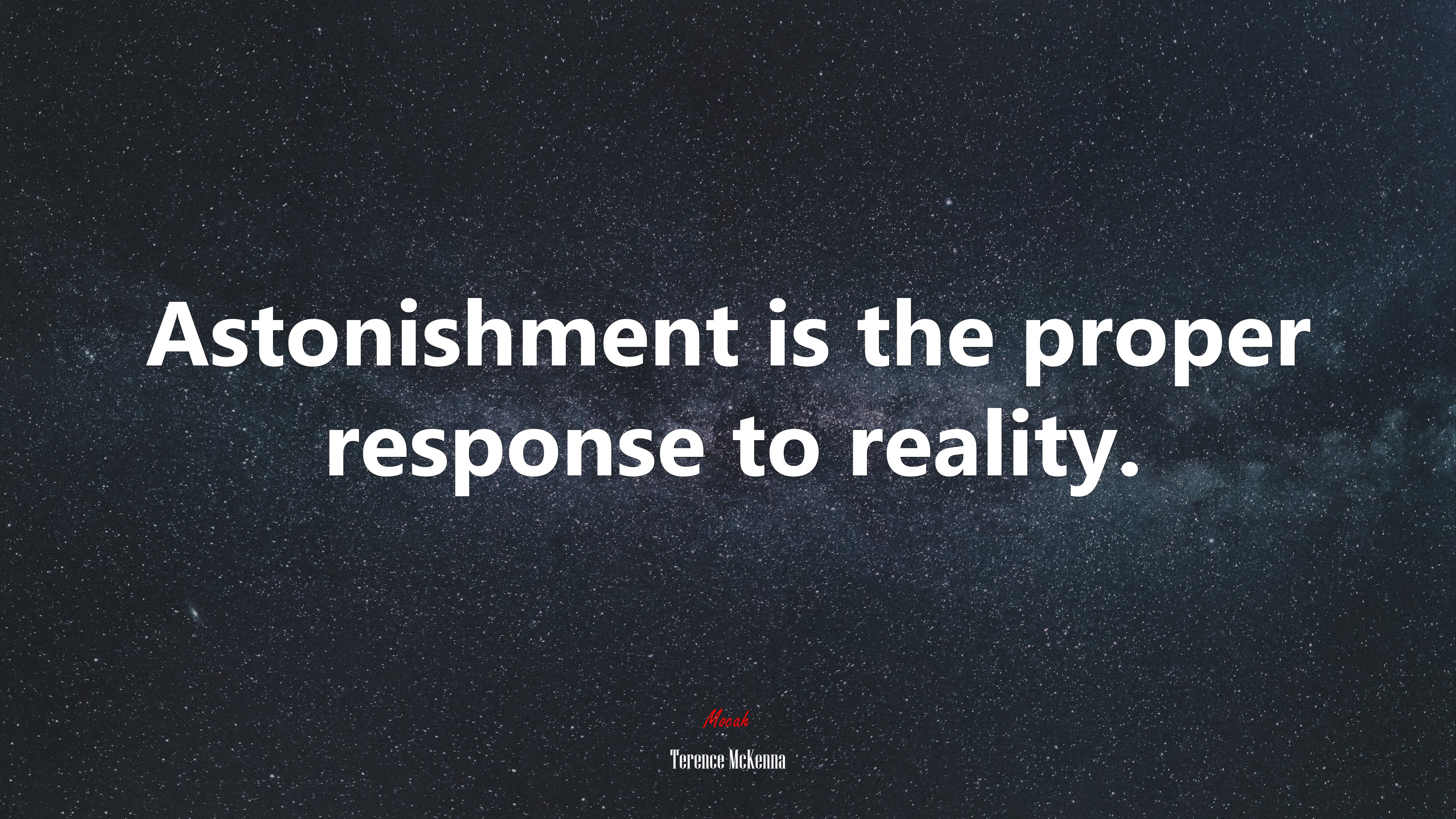 Astonishment is the proper response to reality. | Terence McKenna quote HD Wallpaper