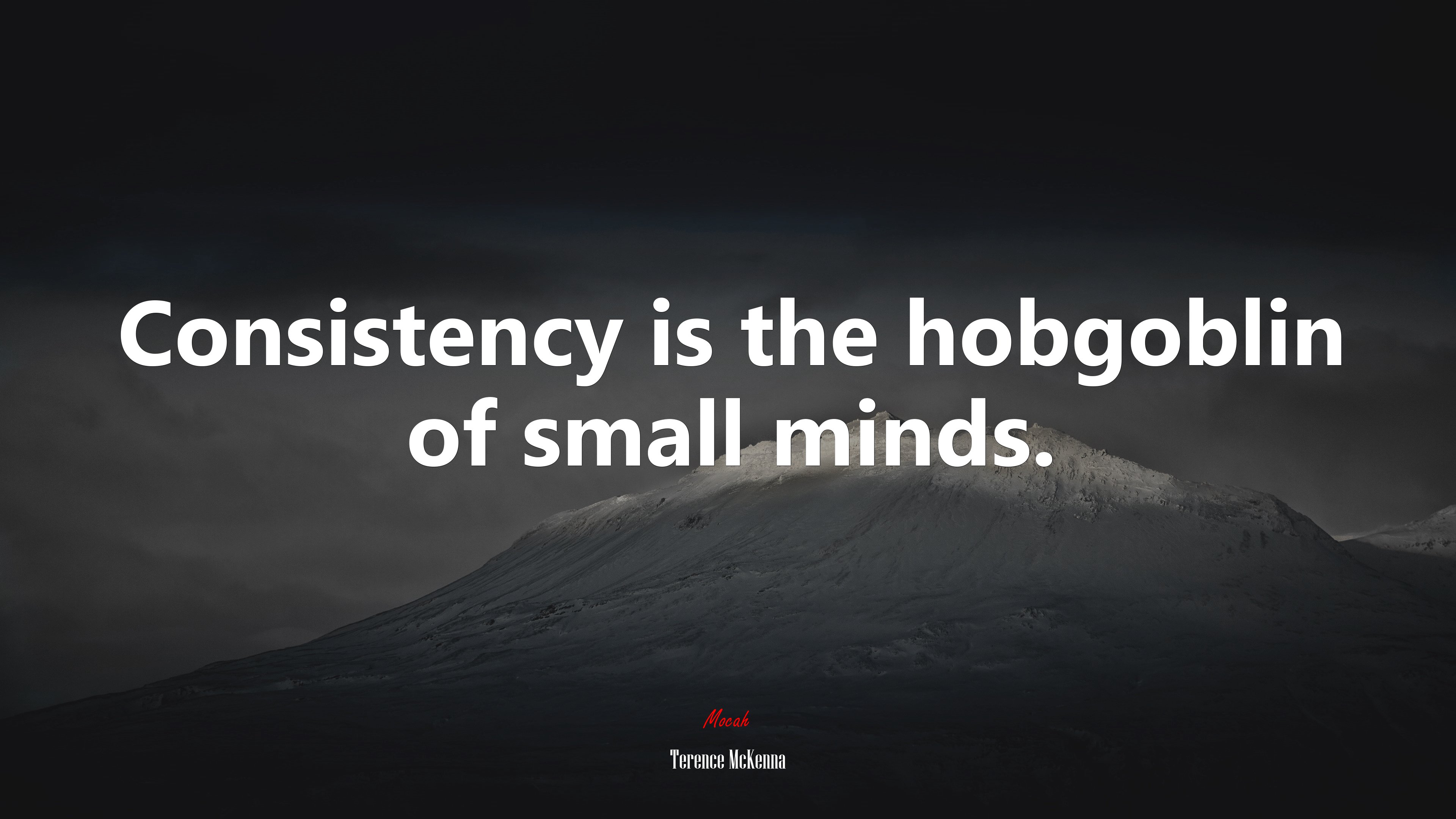 Consistency is the hobgoblin of small minds. | Terence McKenna quote HD Wallpaper
