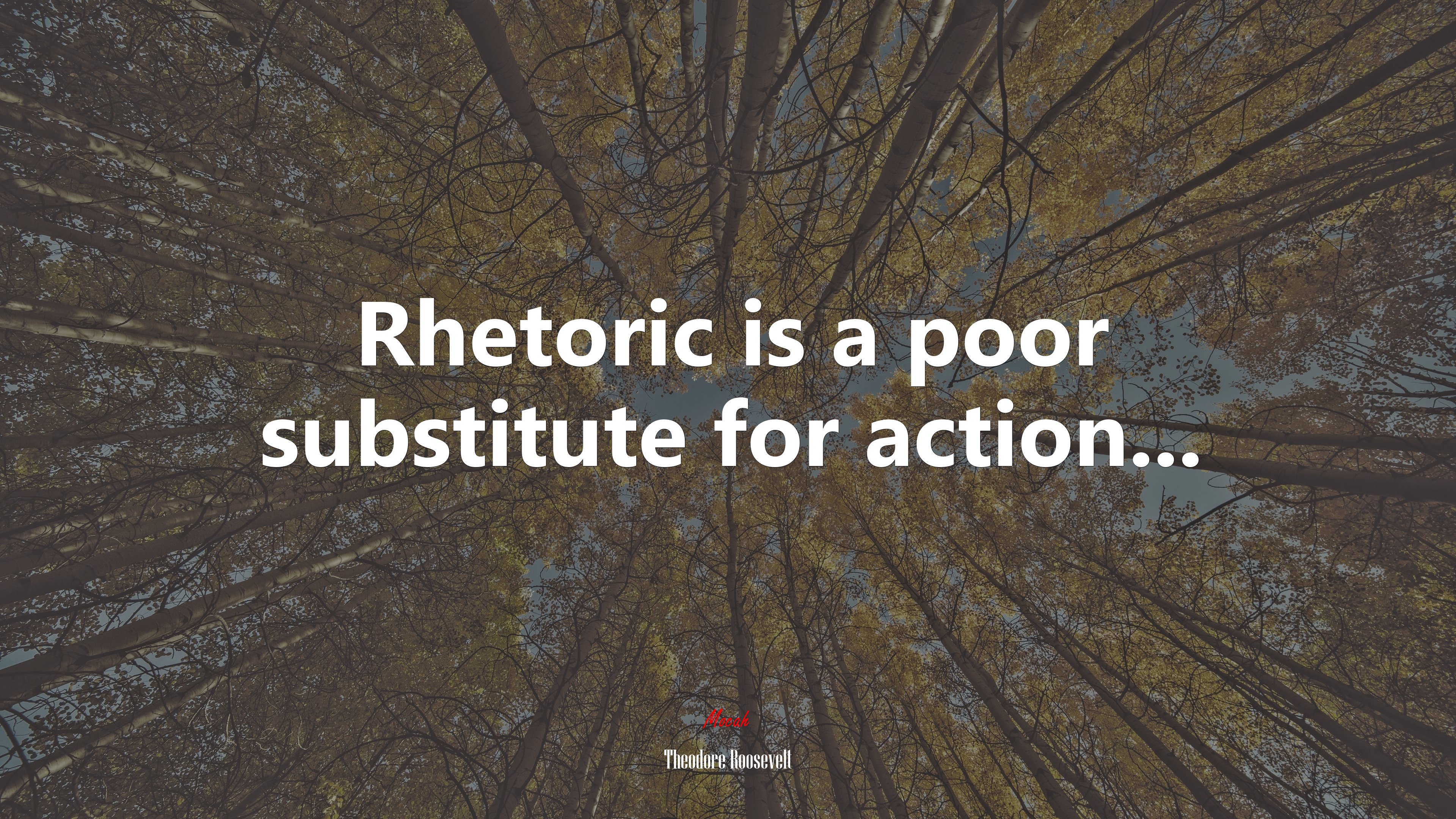 Rhetoric is a poor substitute for action... | Theodore Roosevelt quote HD Wallpaper