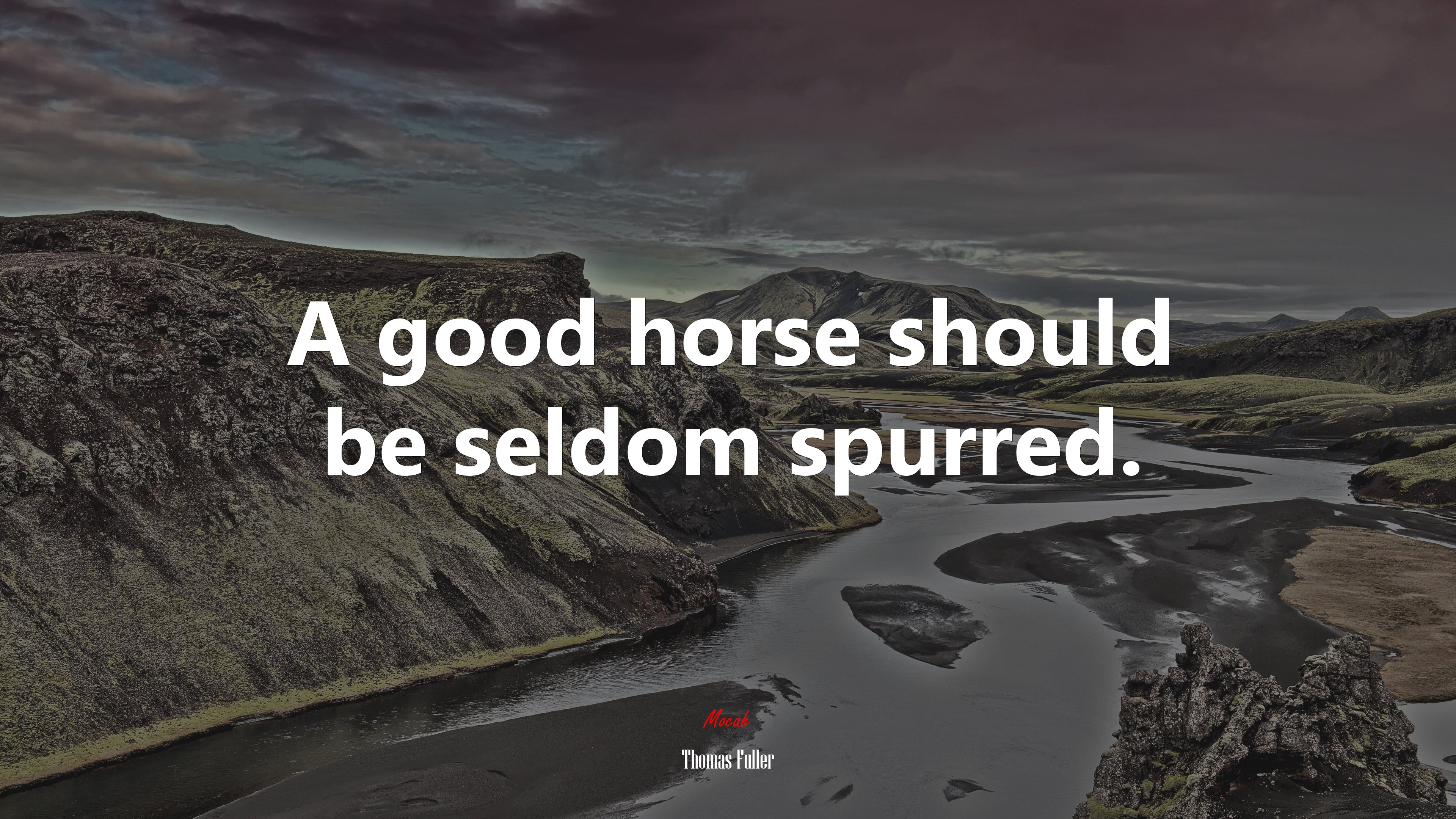 A good horse should be seldom spurred. | Thomas Fuller quote HD Wallpaper