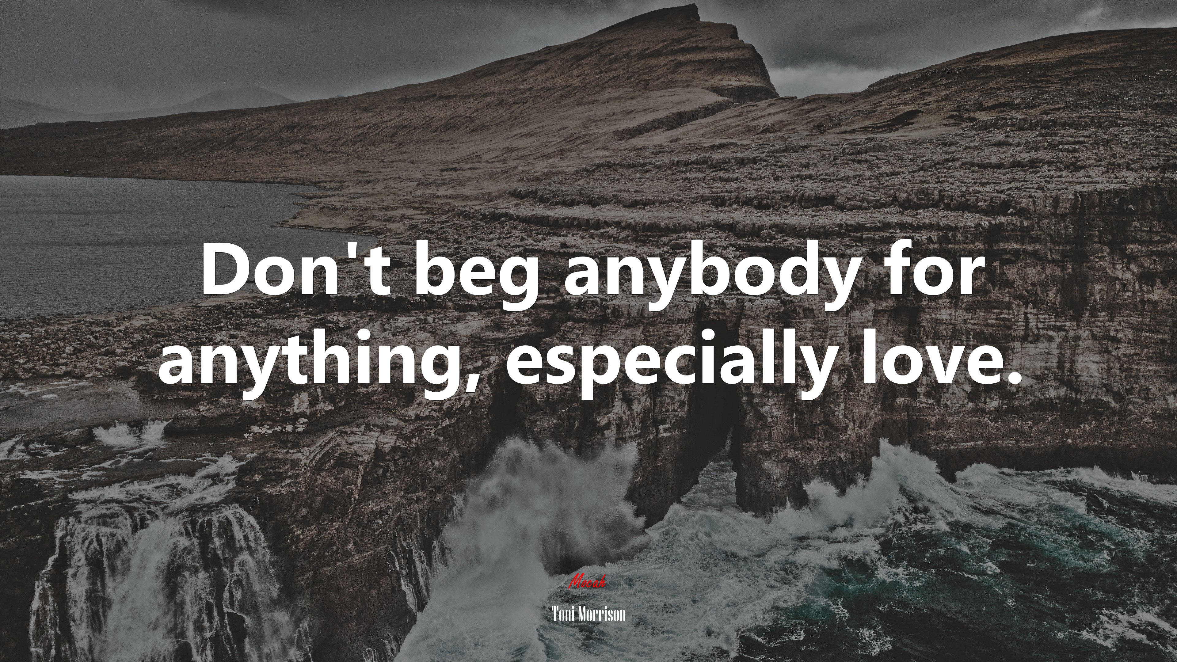 Don’t beg anybody for anything, especially love. | Toni Morrison quote HD Wallpaper