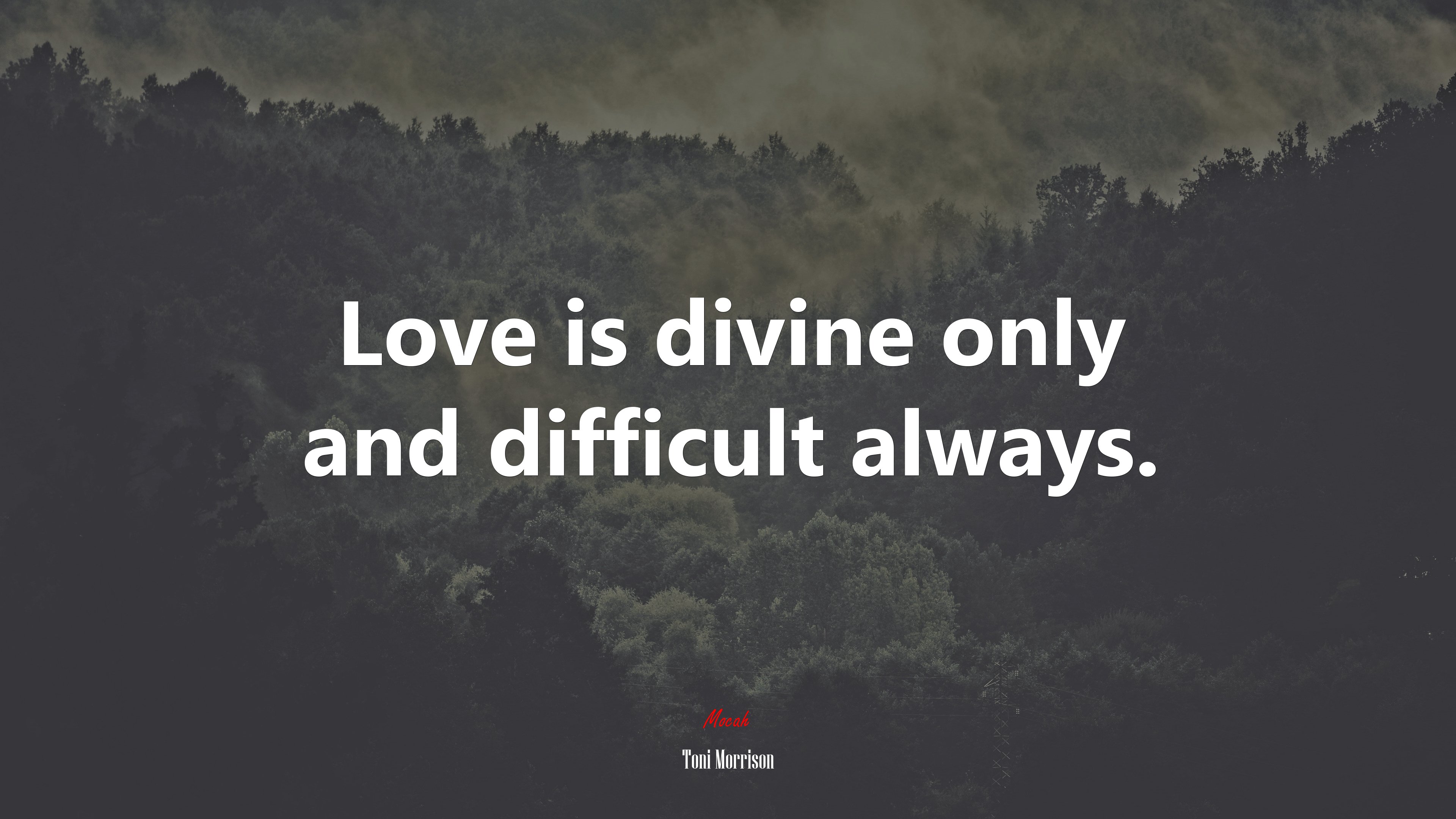 Love is divine only and difficult always. | Toni Morrison quote HD Wallpaper