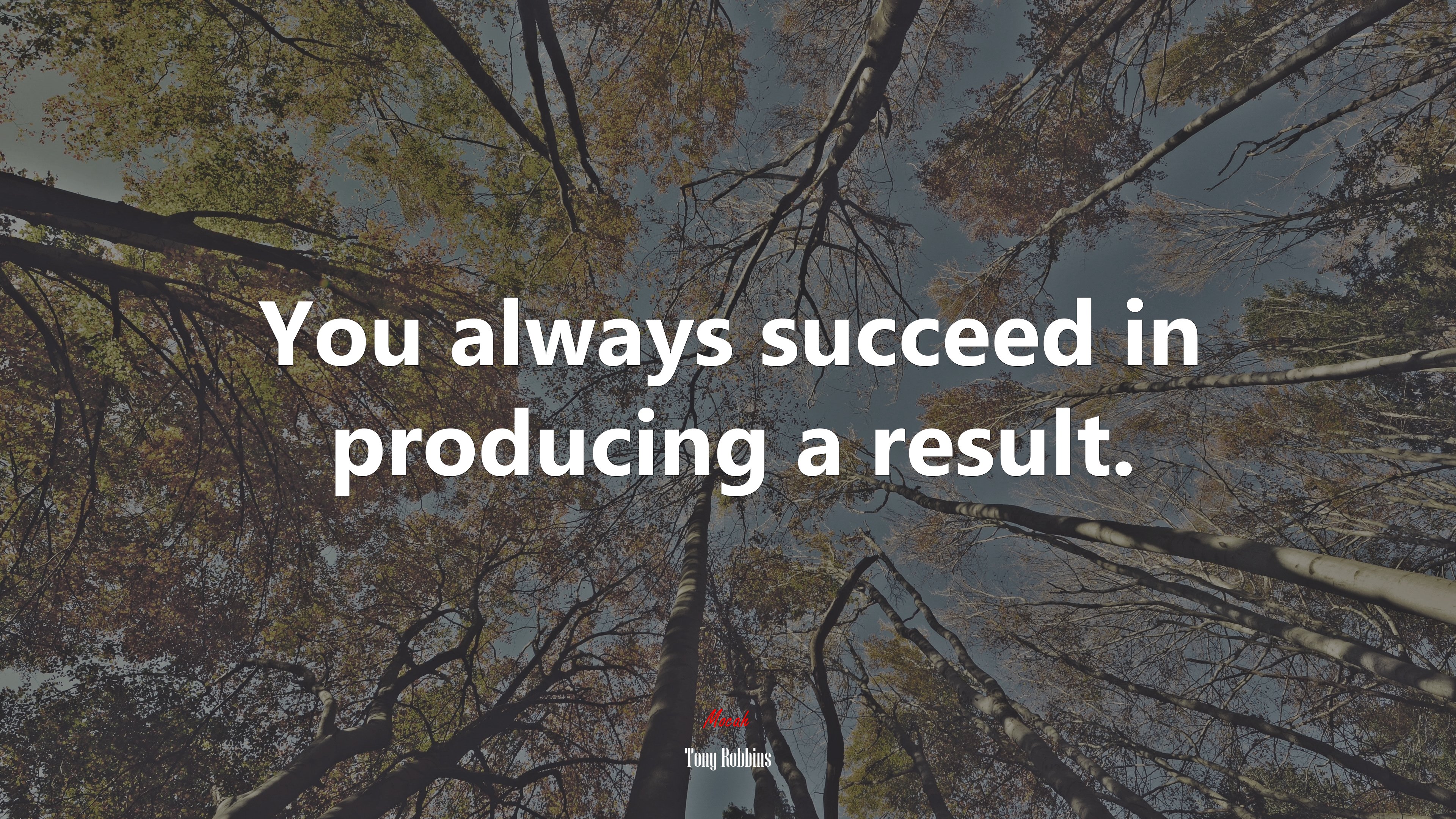 You always succeed in producing a result. | Tony Robbins quote HD Wallpaper