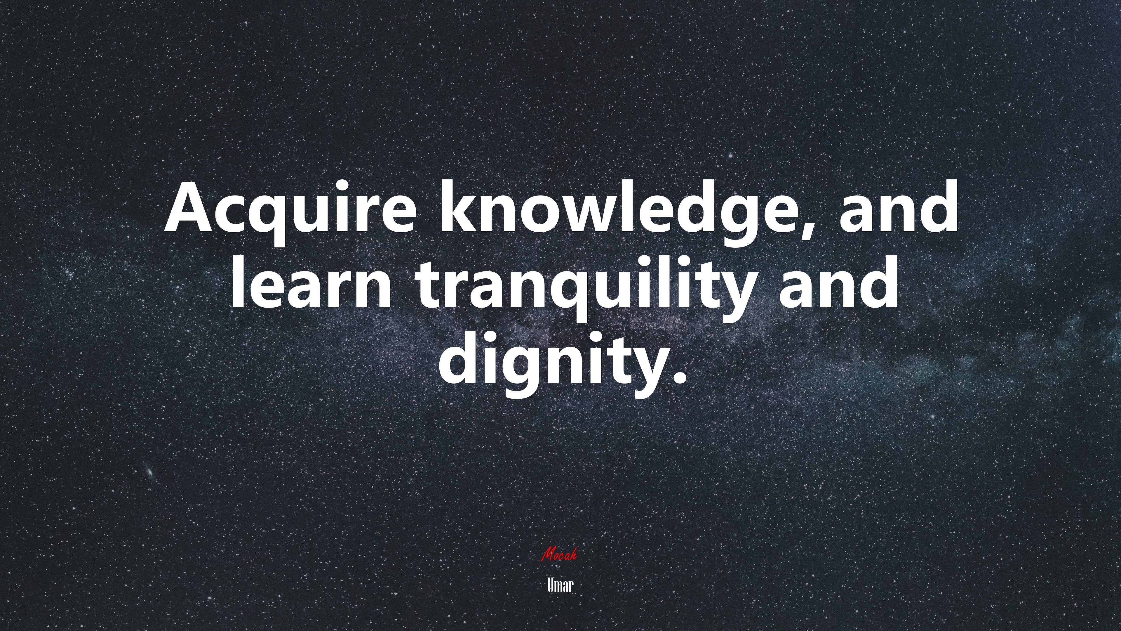 Acquire knowledge, and learn tranquility and dignity. | Umar quote HD Wallpaper