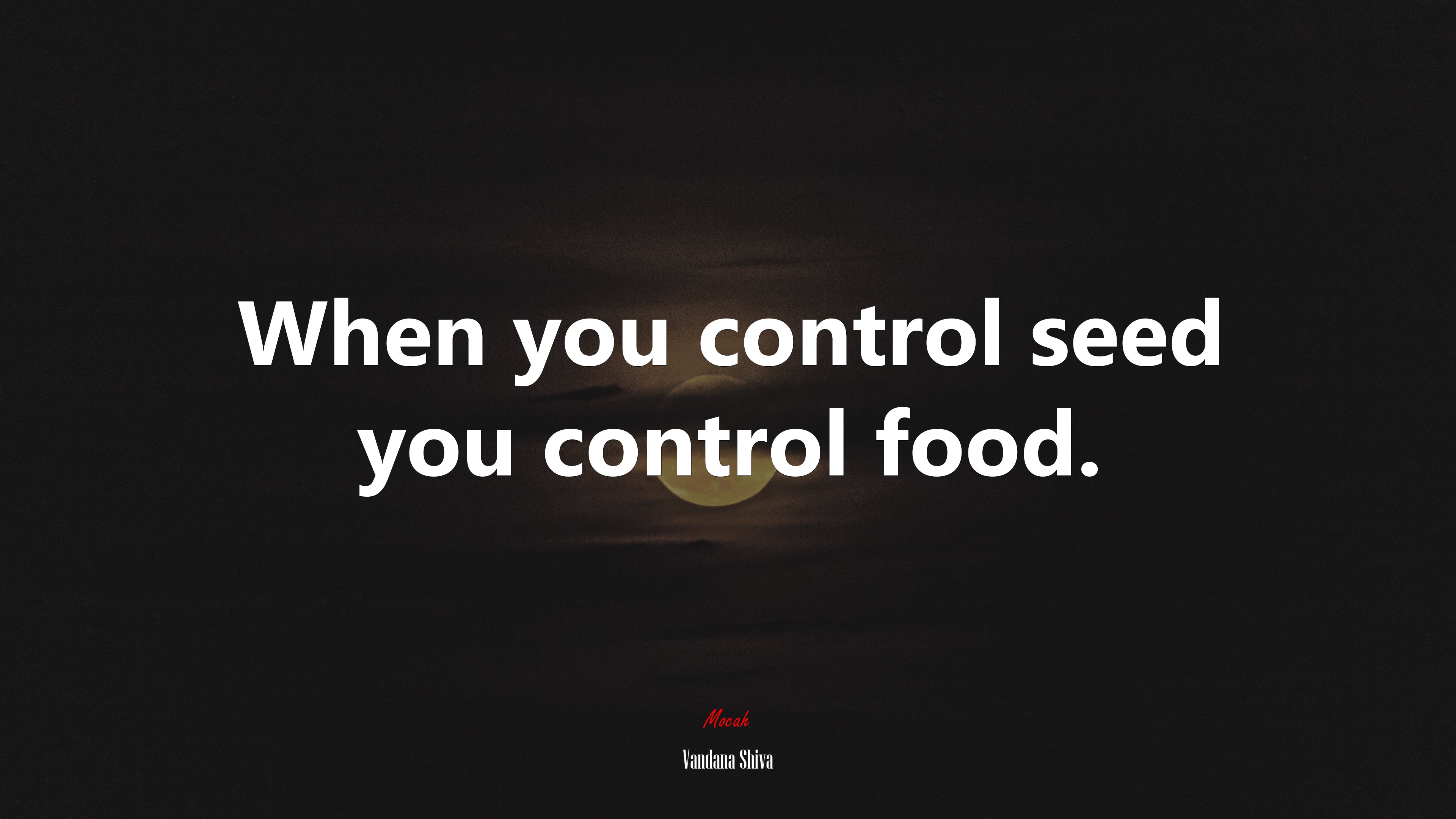When you control seed you control food. | Vandana Shiva quote HD Wallpaper