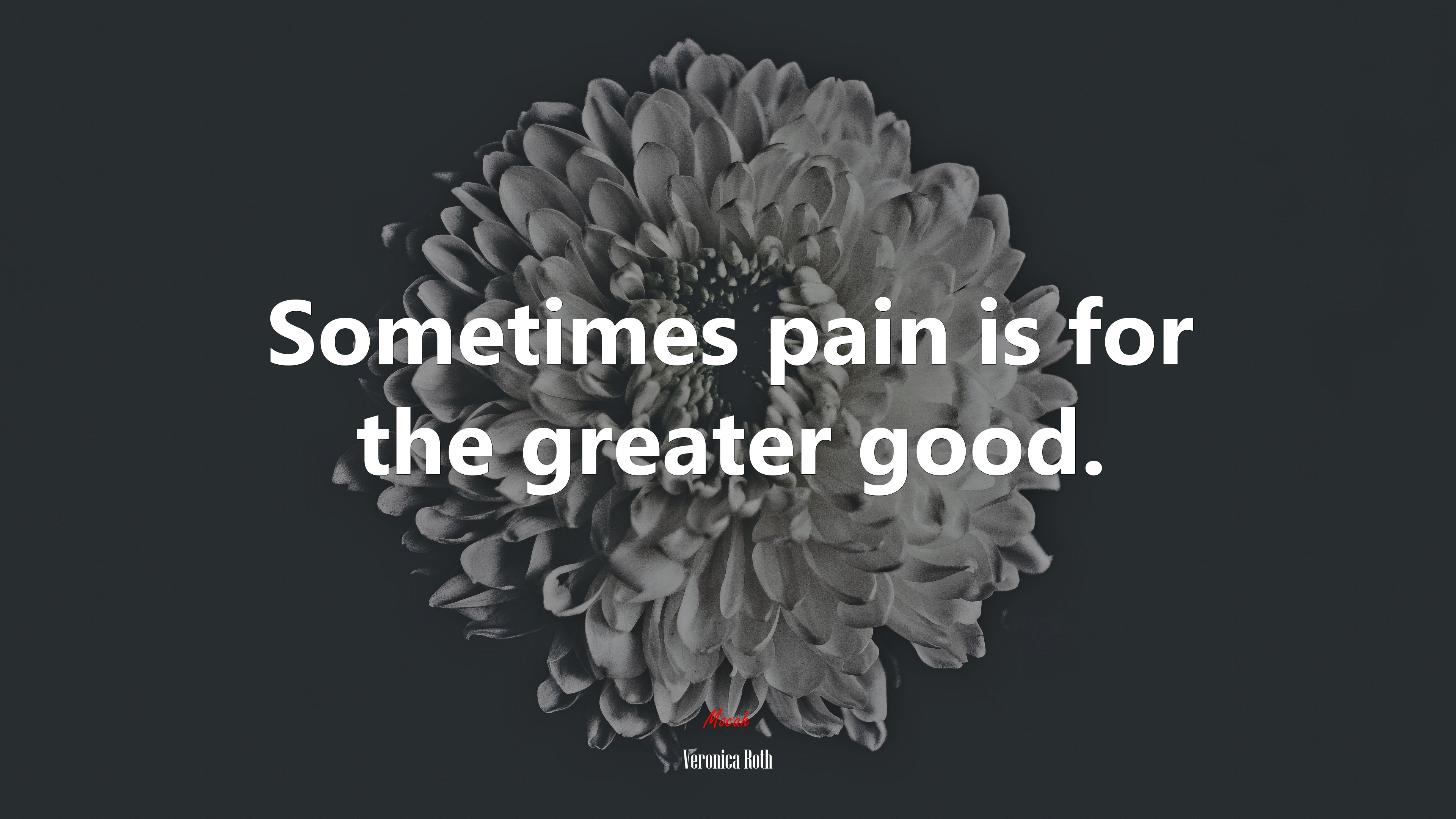Sometimes pain is for the greater good. | Veronica Roth quote HD Wallpaper