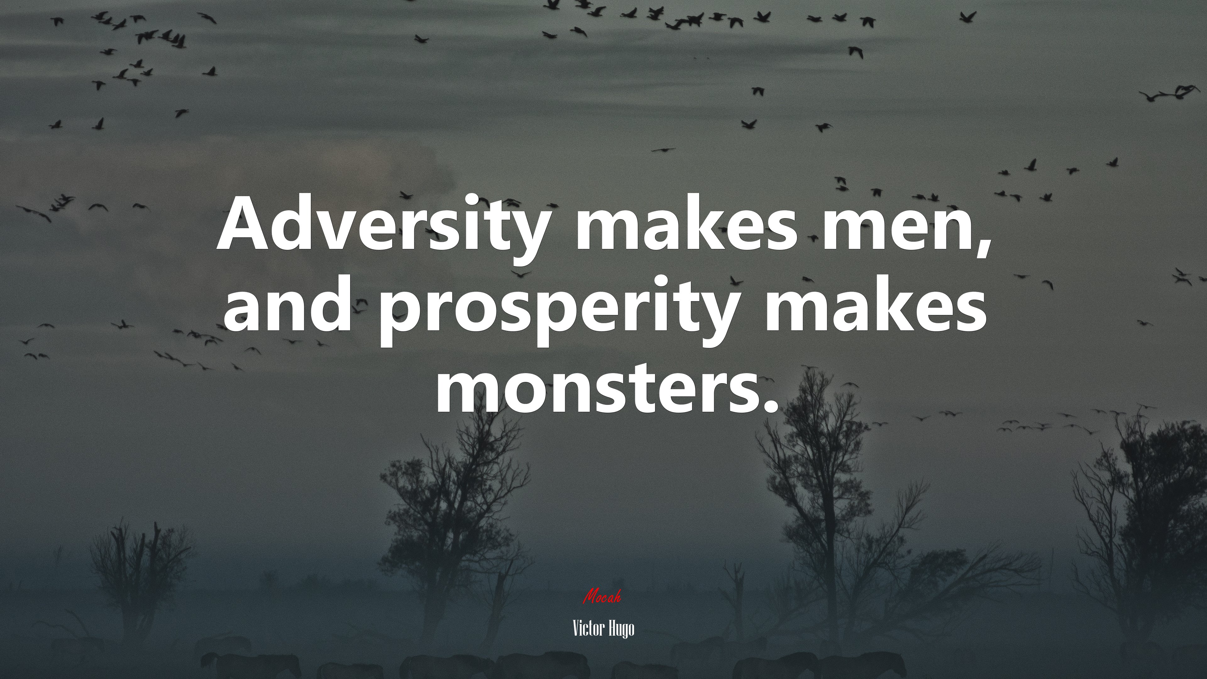 Adversity makes men, and prosperity makes monsters. | Victor Hugo quote HD Wallpaper
