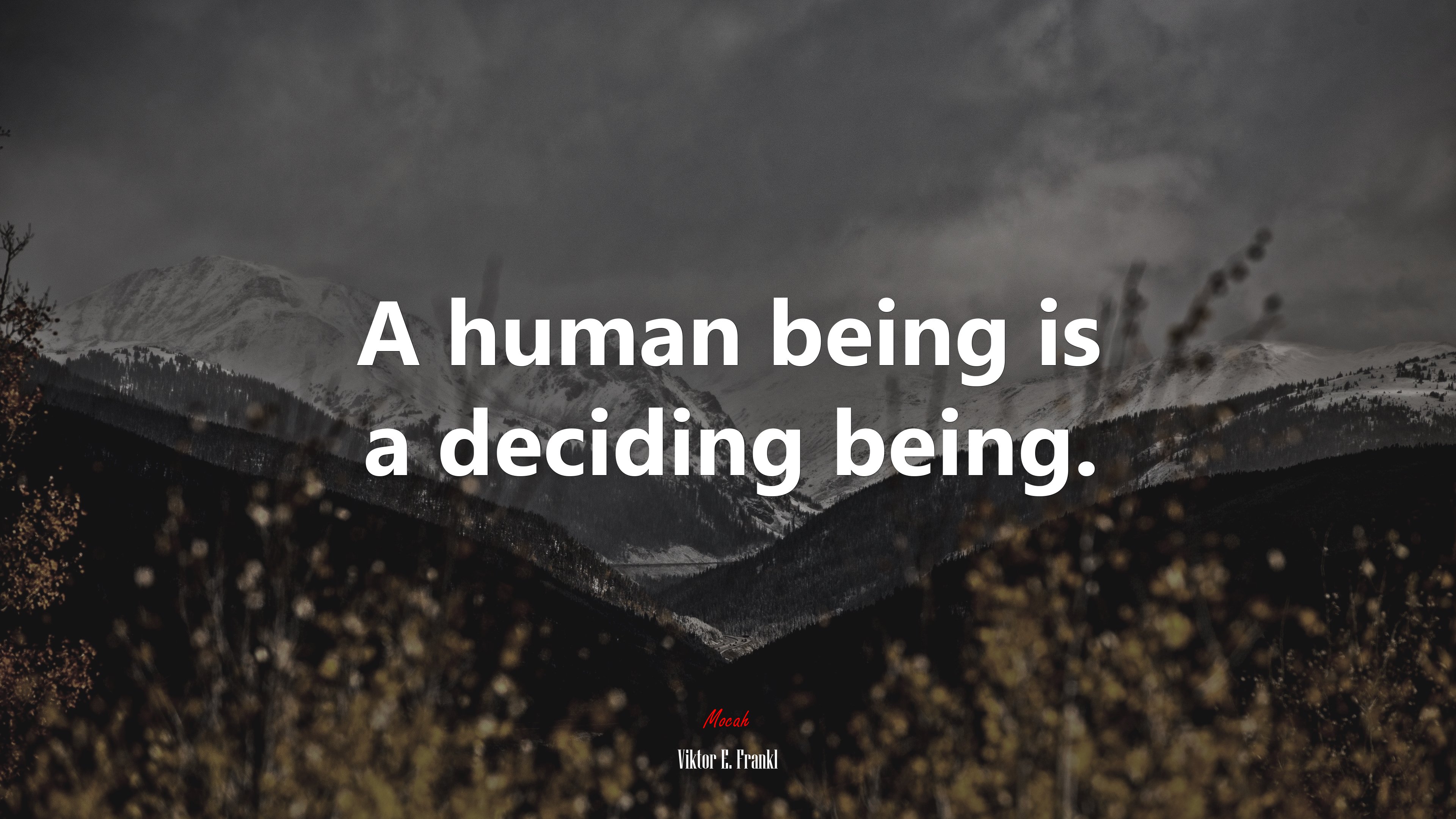 A human being is a deciding being. | Viktor E. Frankl quote HD Wallpaper