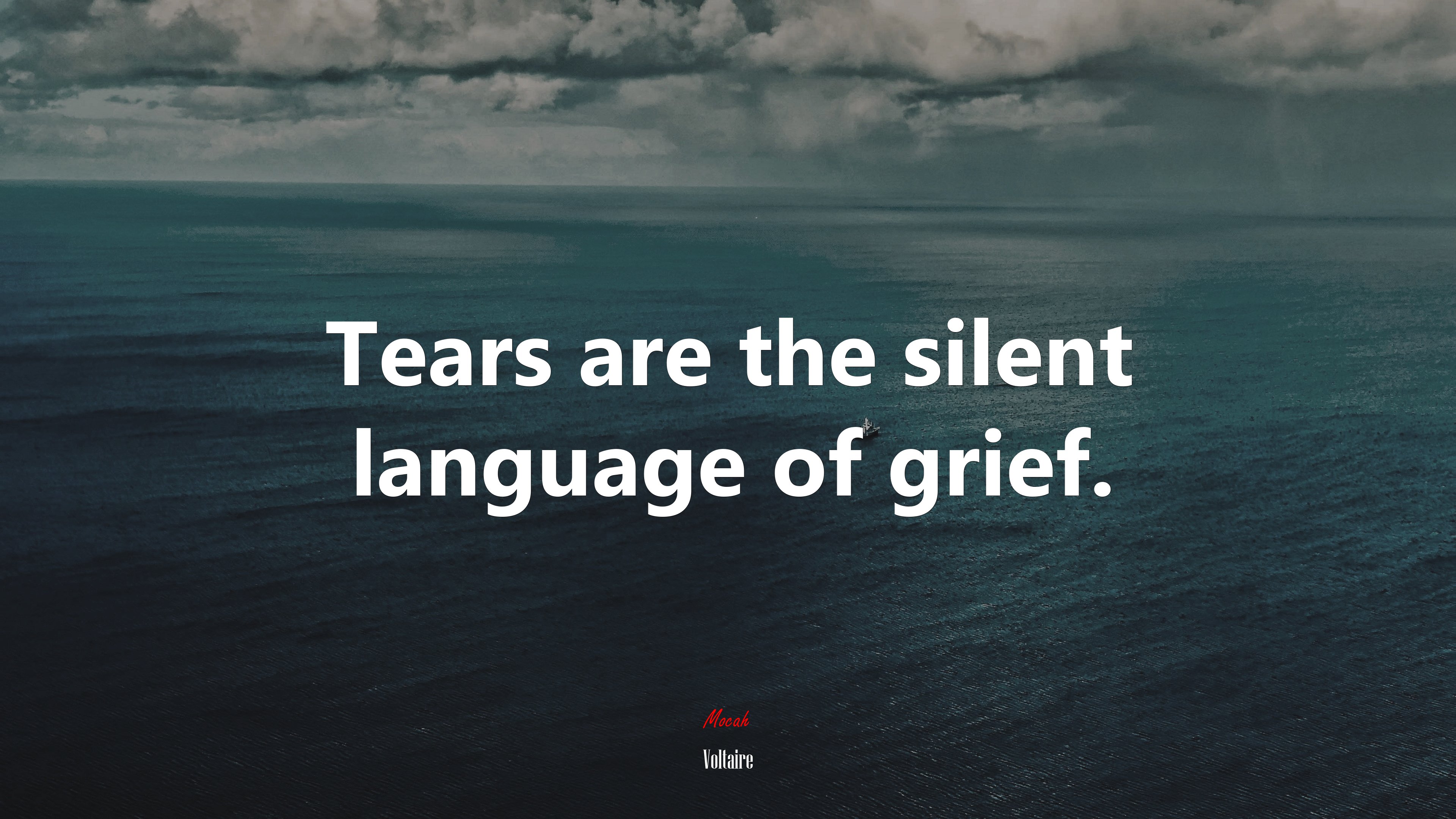 Tears are the silent language of grief. | Voltaire quote HD Wallpaper
