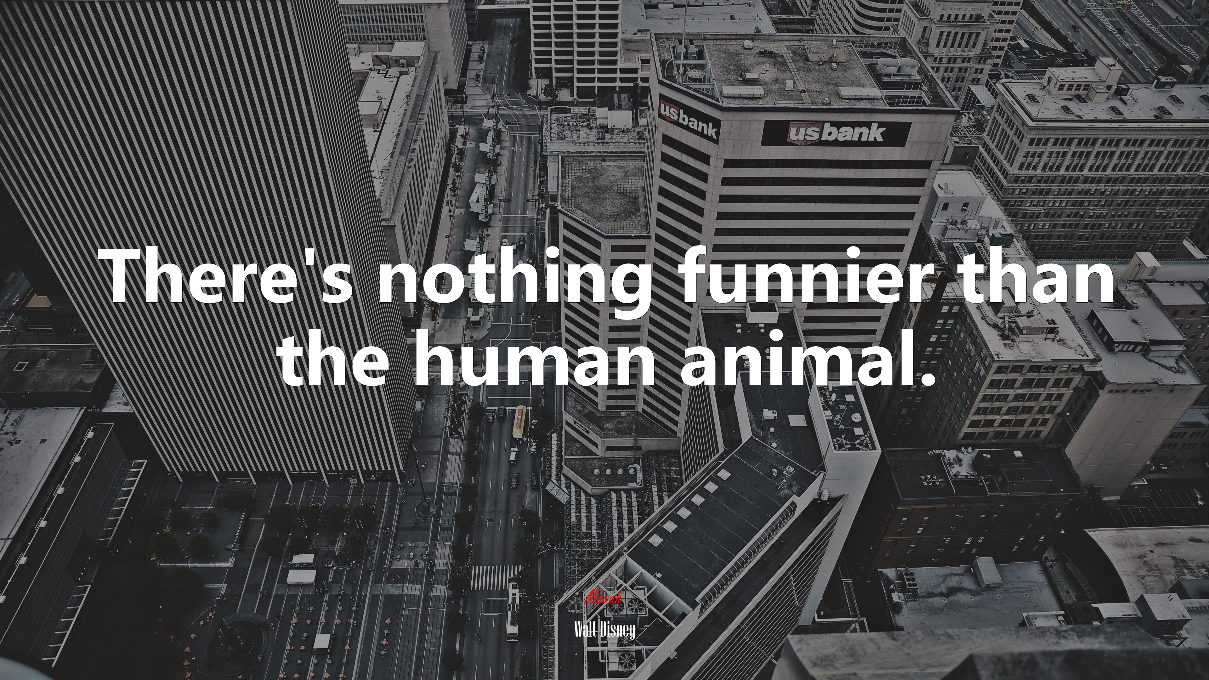There’s nothing funnier than the human animal. | Walt Disney quote HD Wallpaper